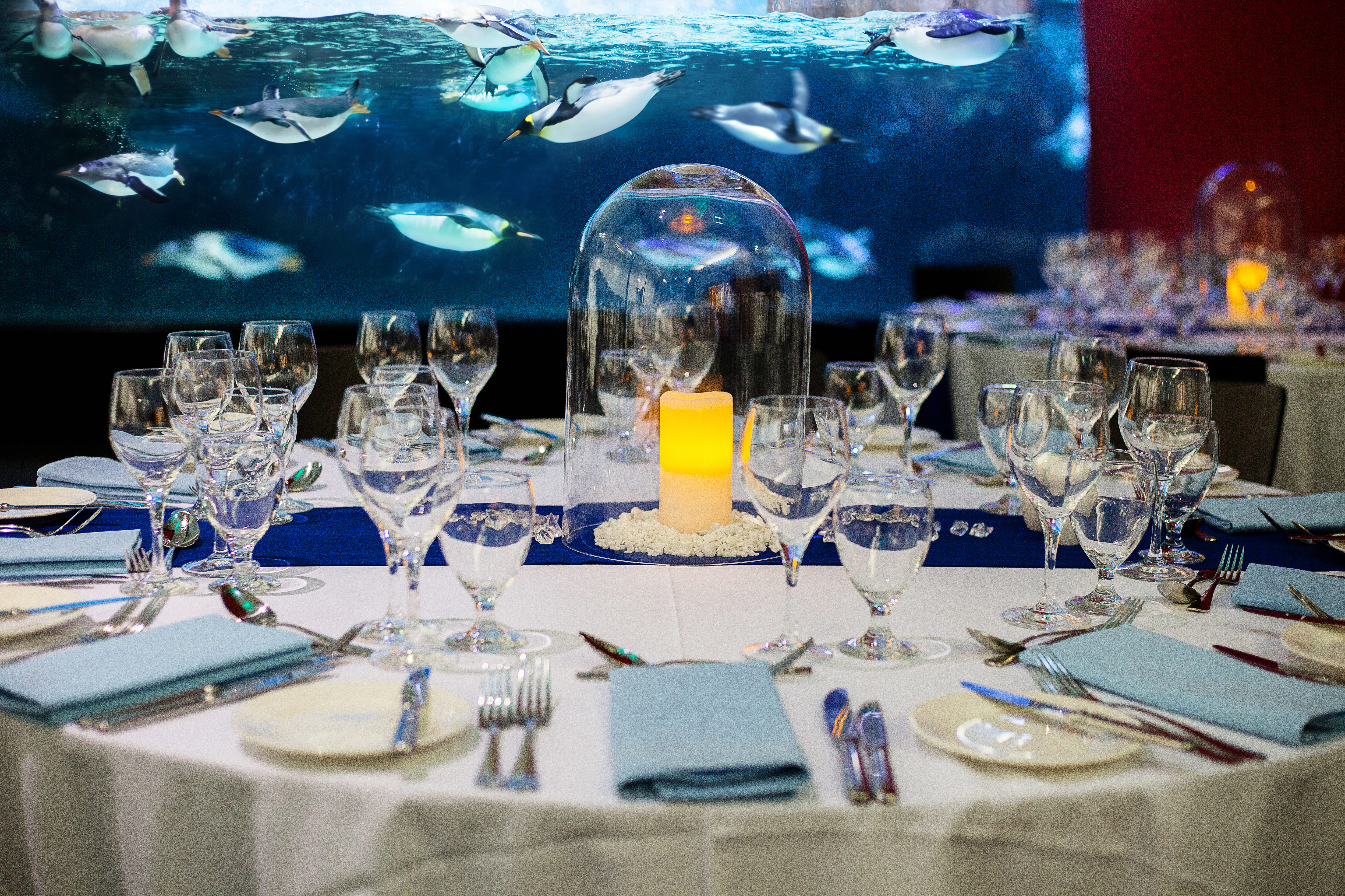 SEA LIFE Melbourne Aquarium 8