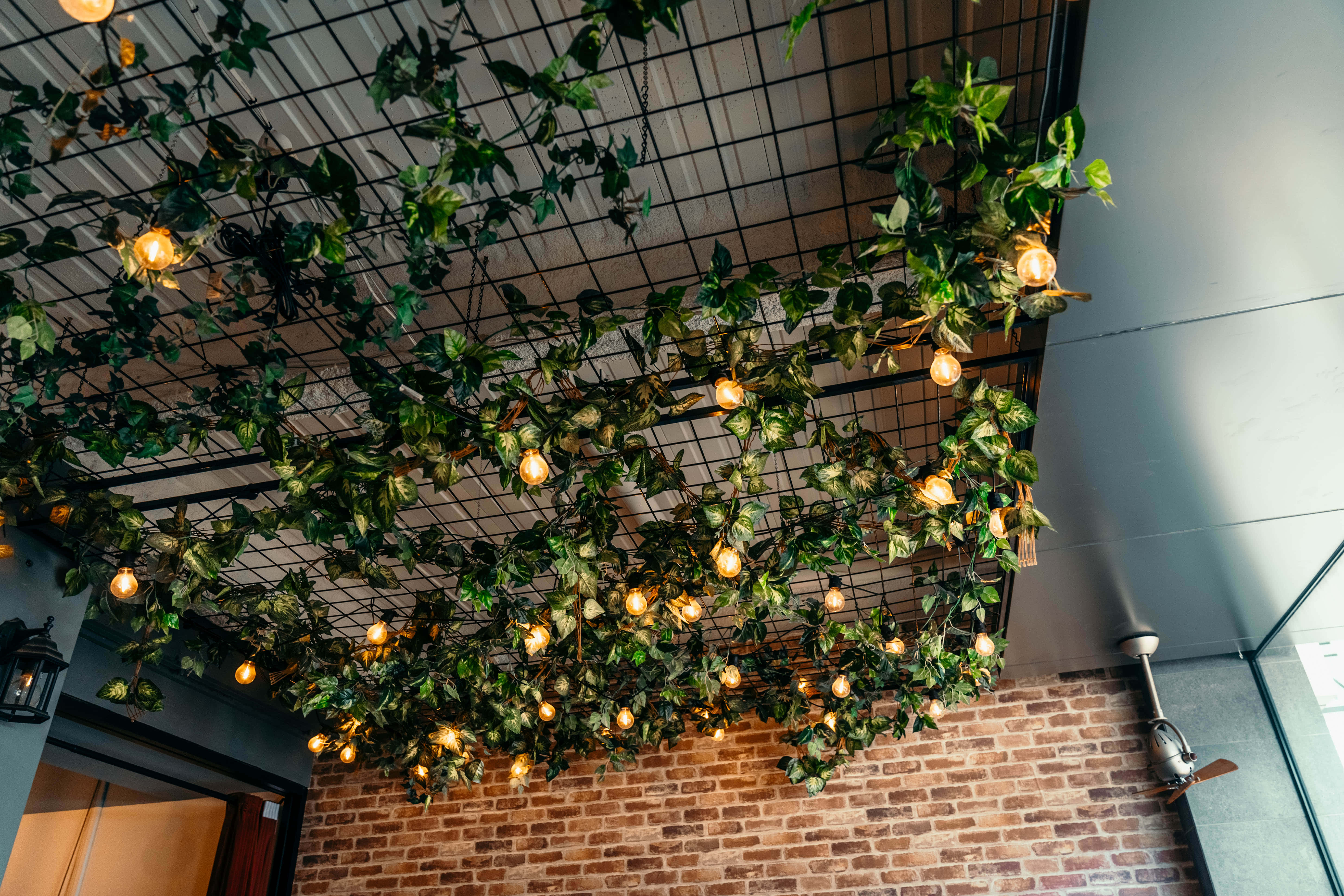 Function Room & Botanical Bar 6