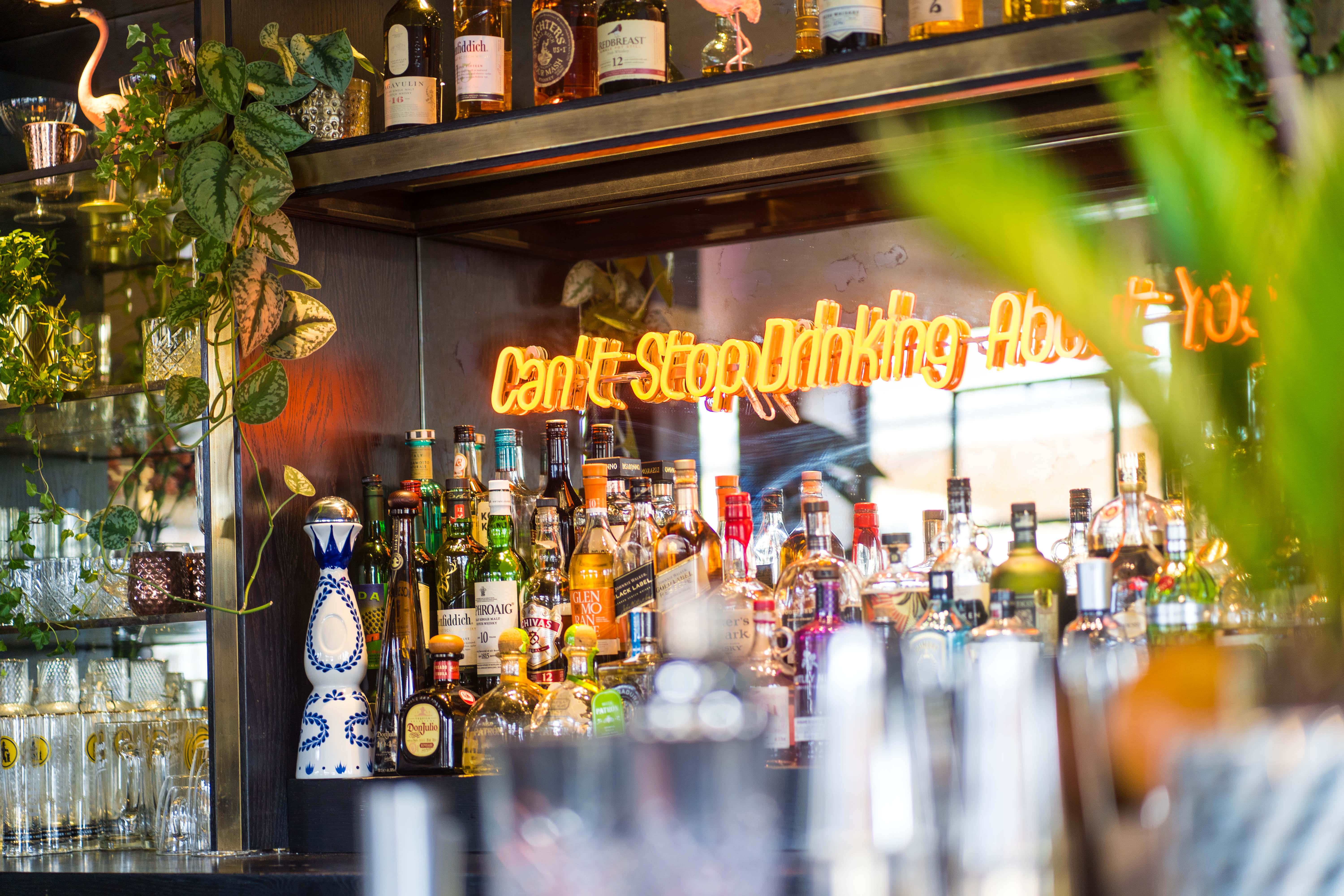 DRUNCH Regents Park 0