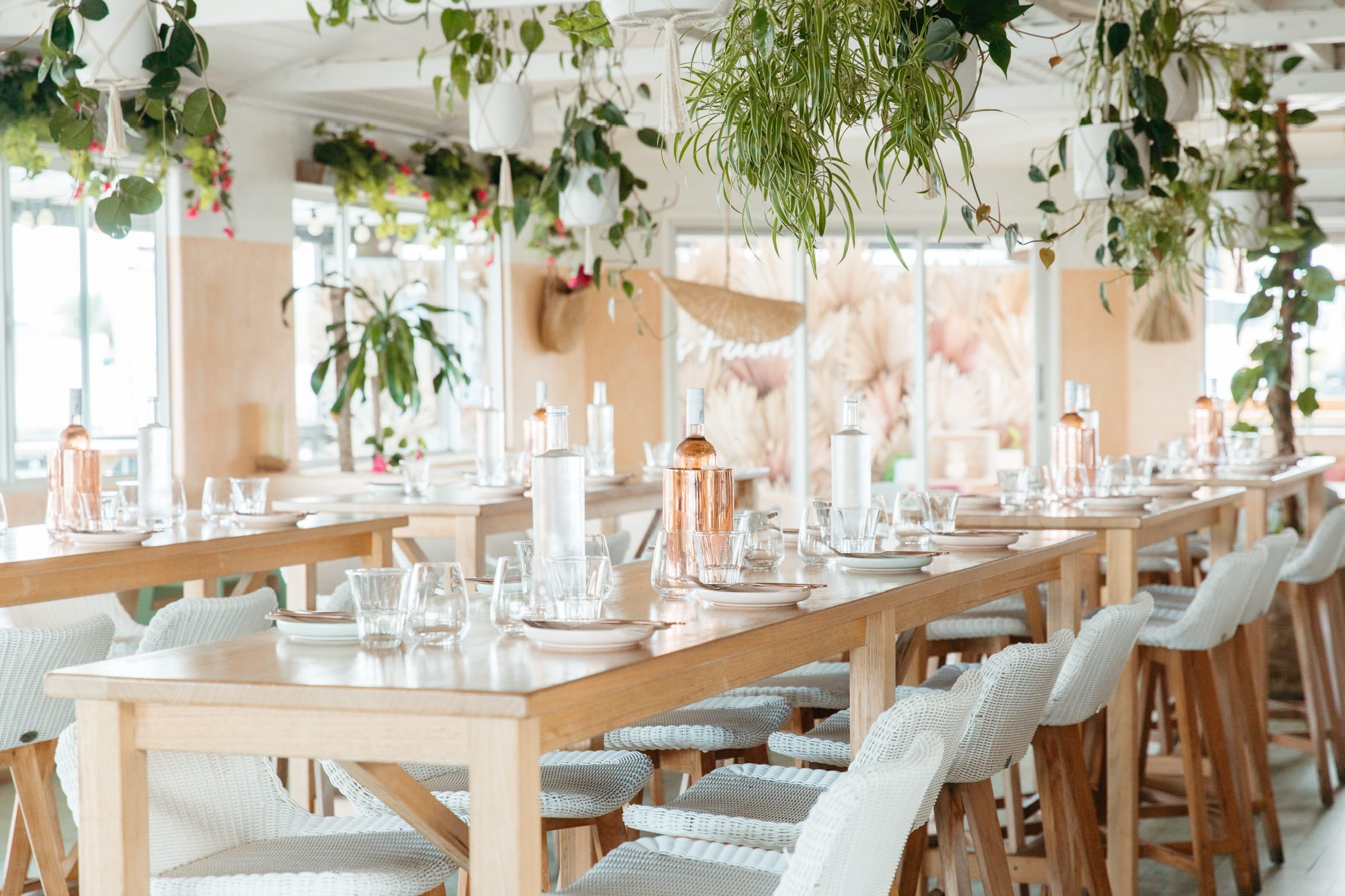 Exclusive Hire or Area Booking 4