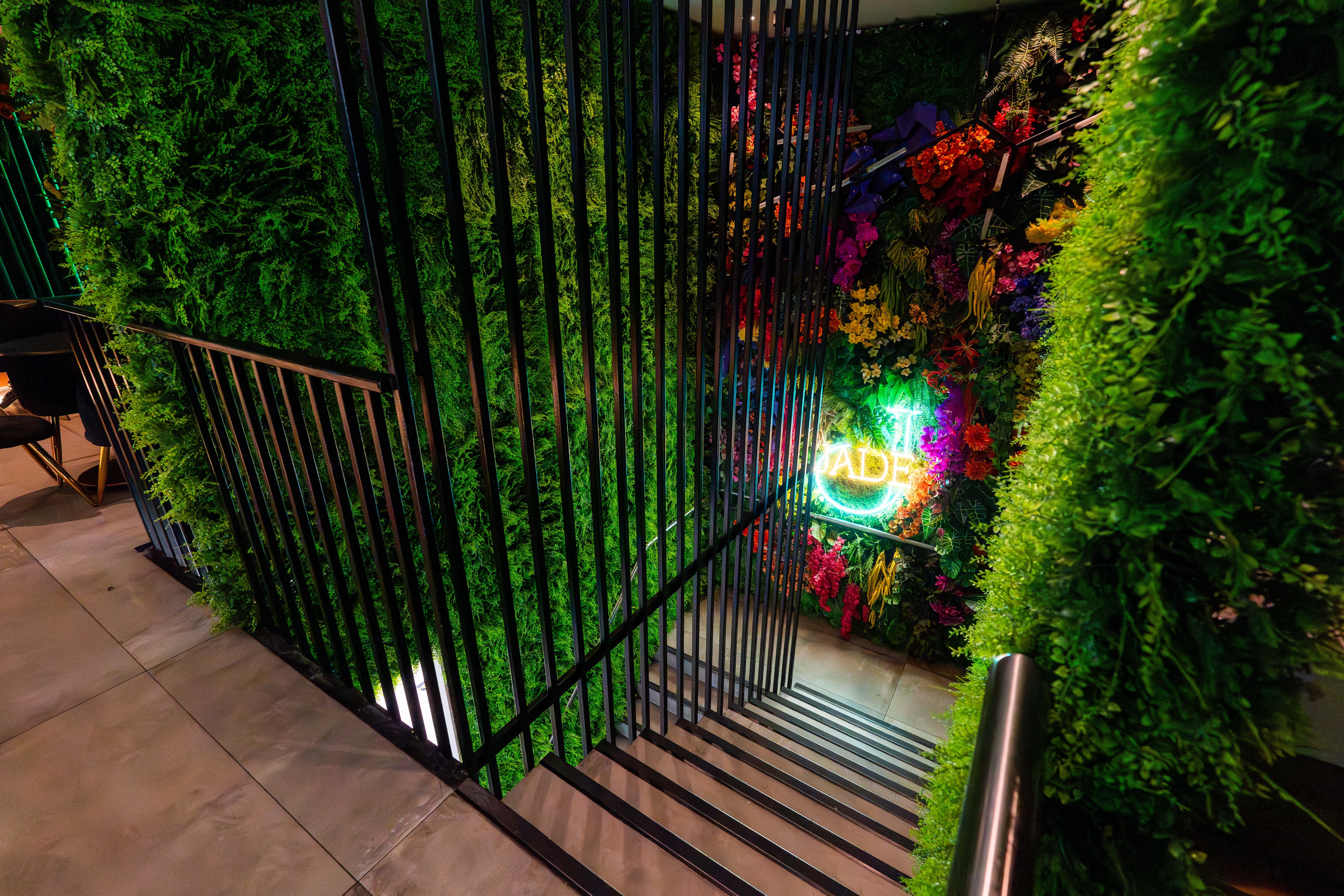 Upstairs Exclusive 4