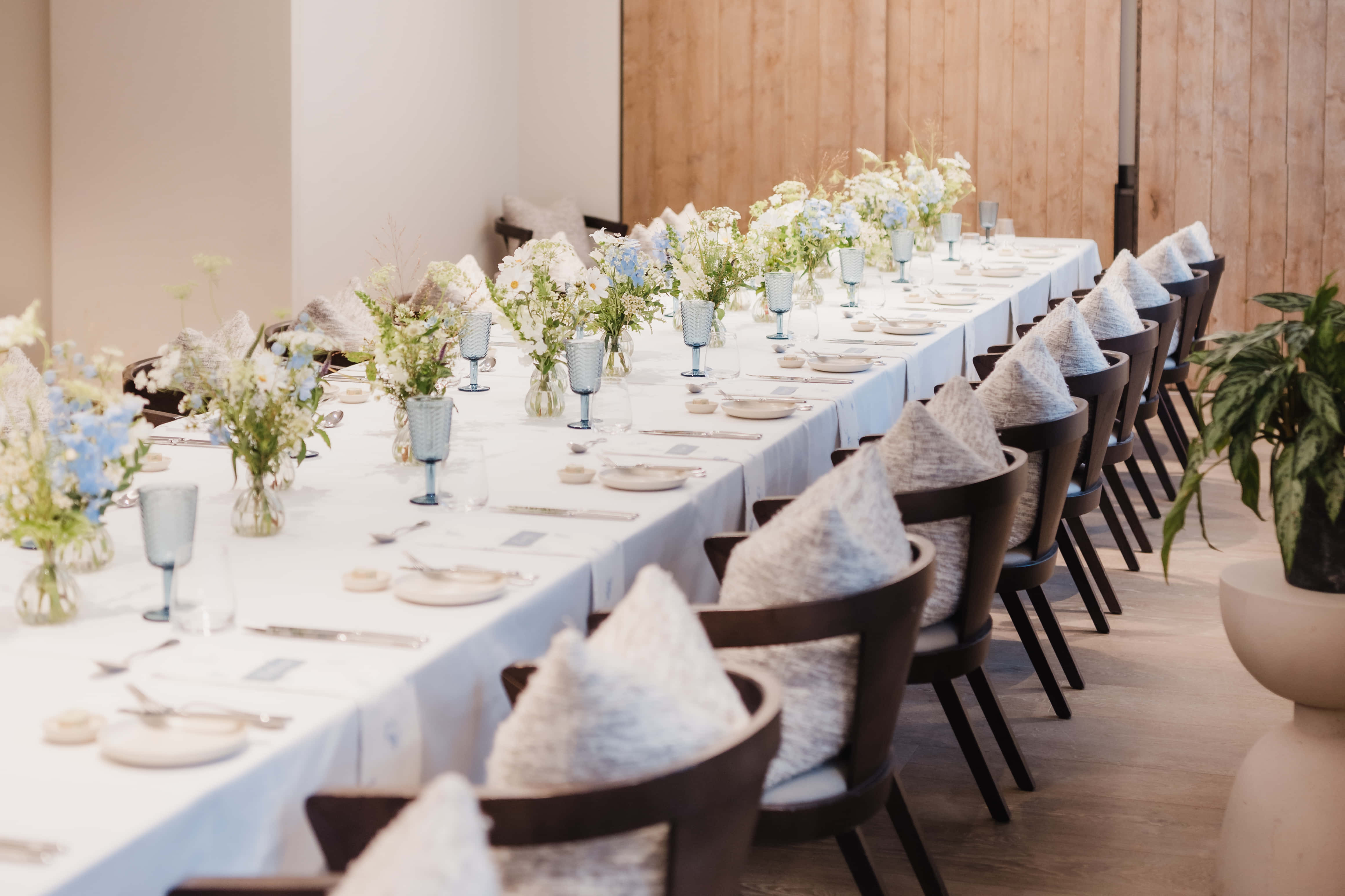 Foxtail Sweet Reed 1