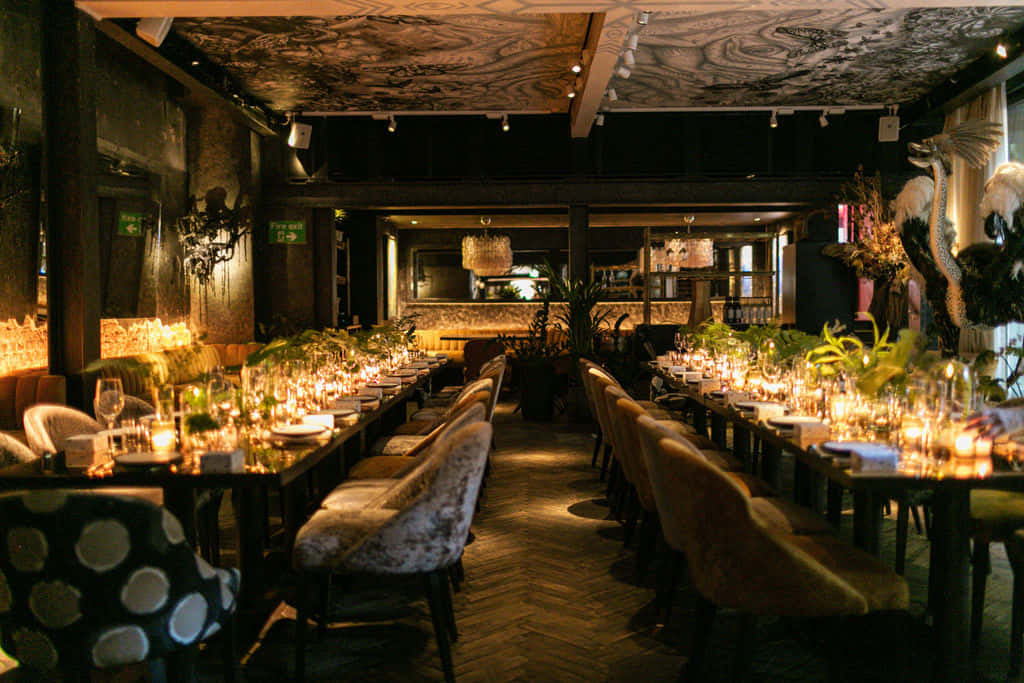 YOPO restaurant 1