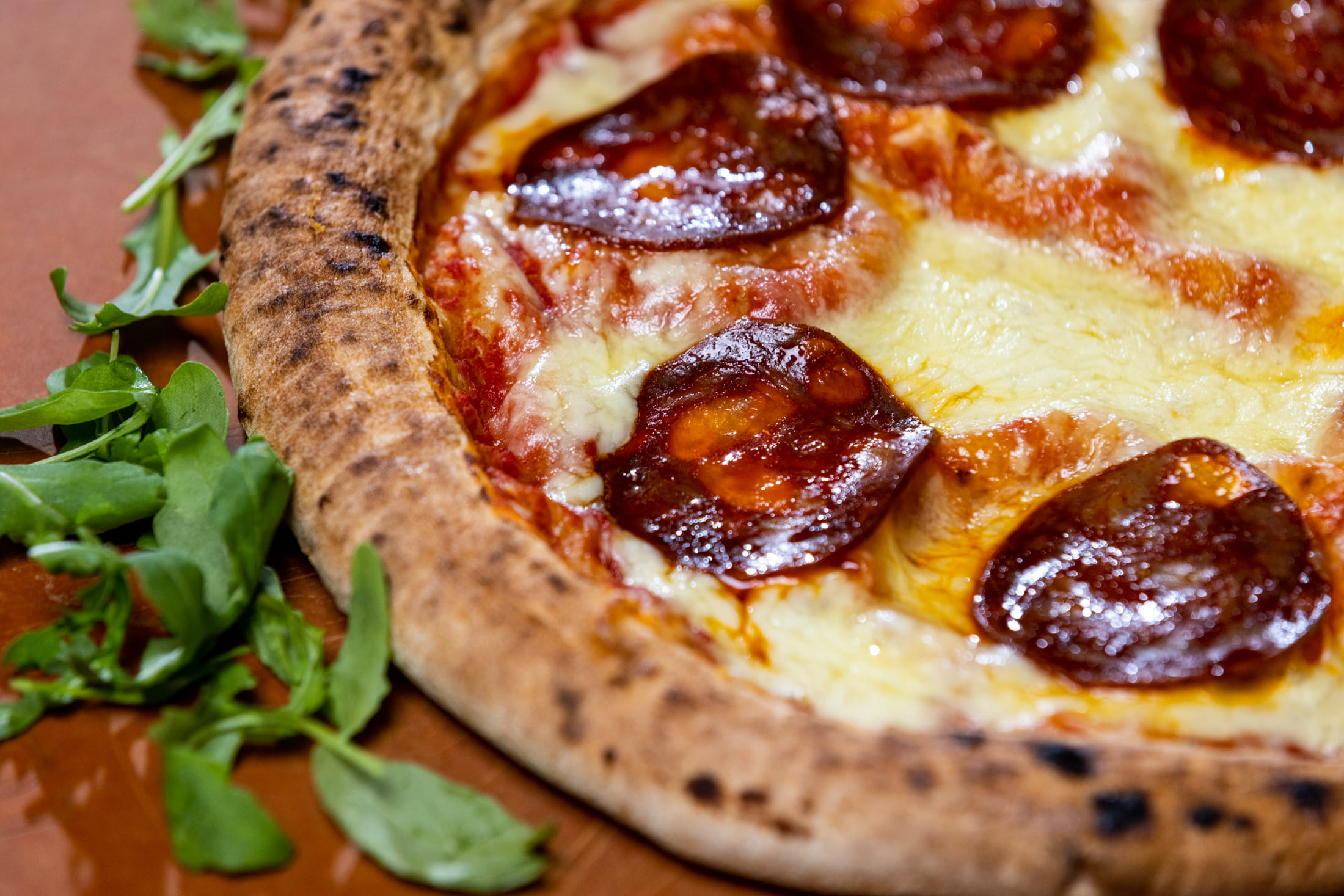 Christmas Hire, Exclusive 6