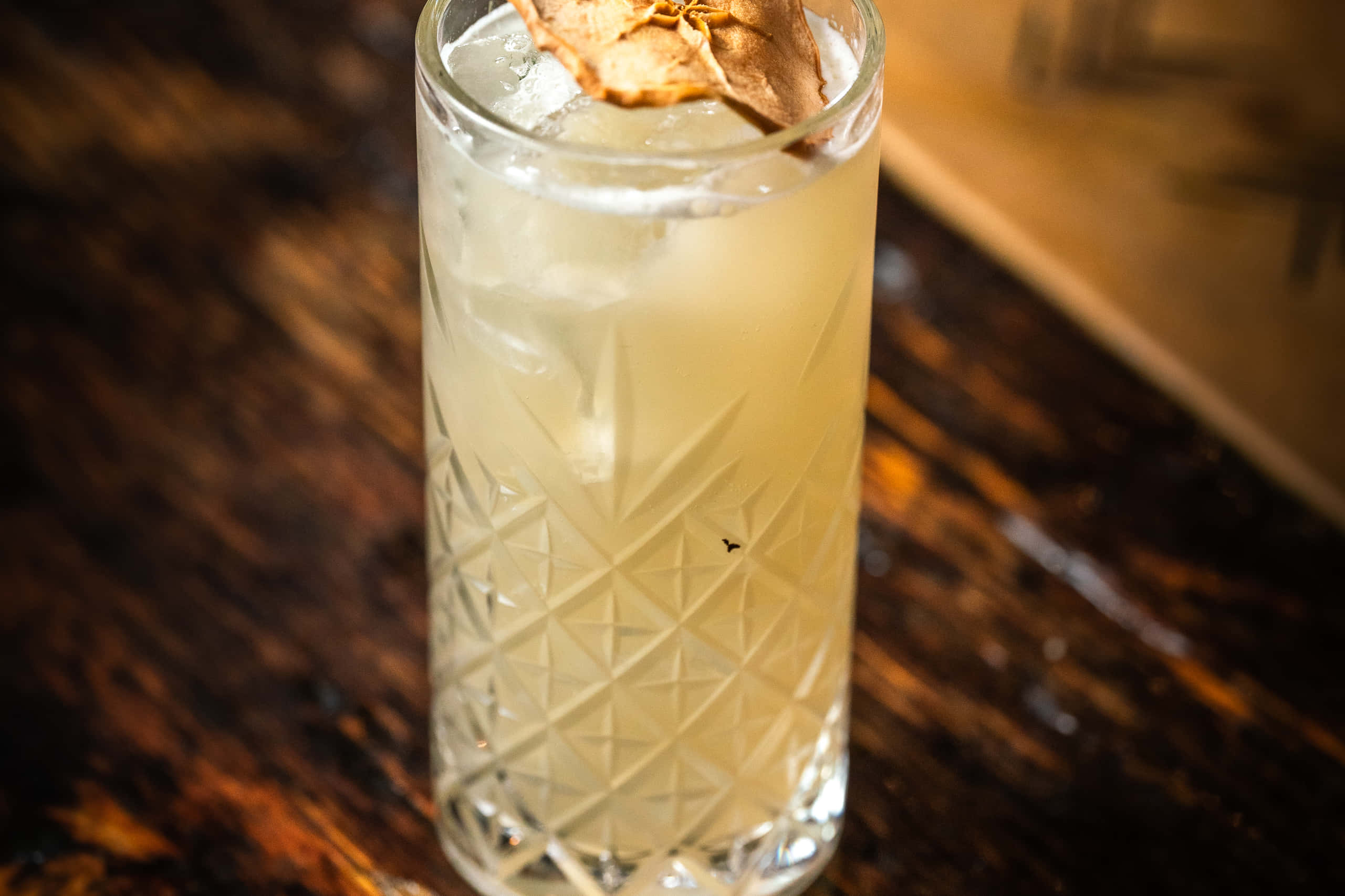 Cocktail or Gin Masterclass 25