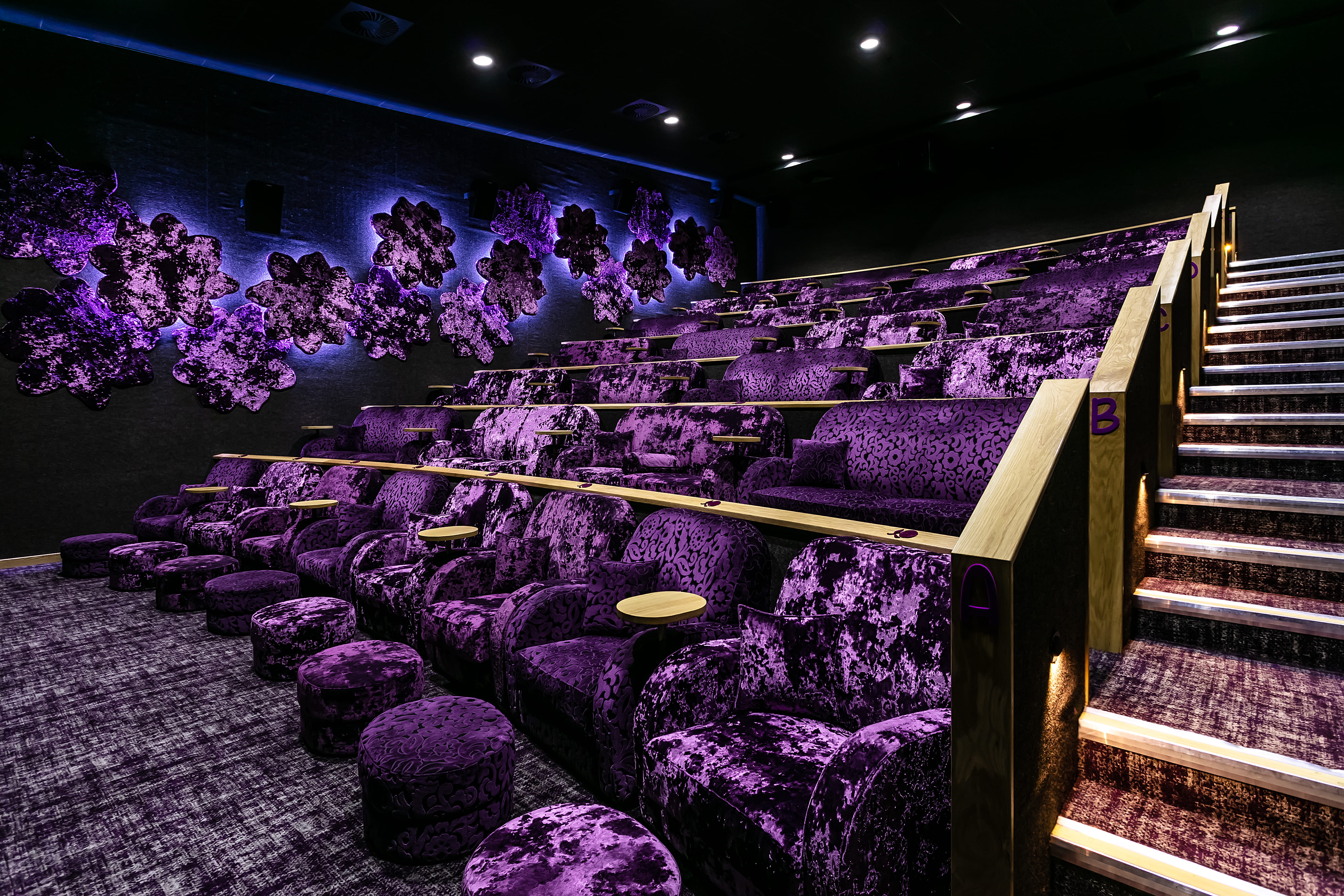 Private Cinema Hire  1
