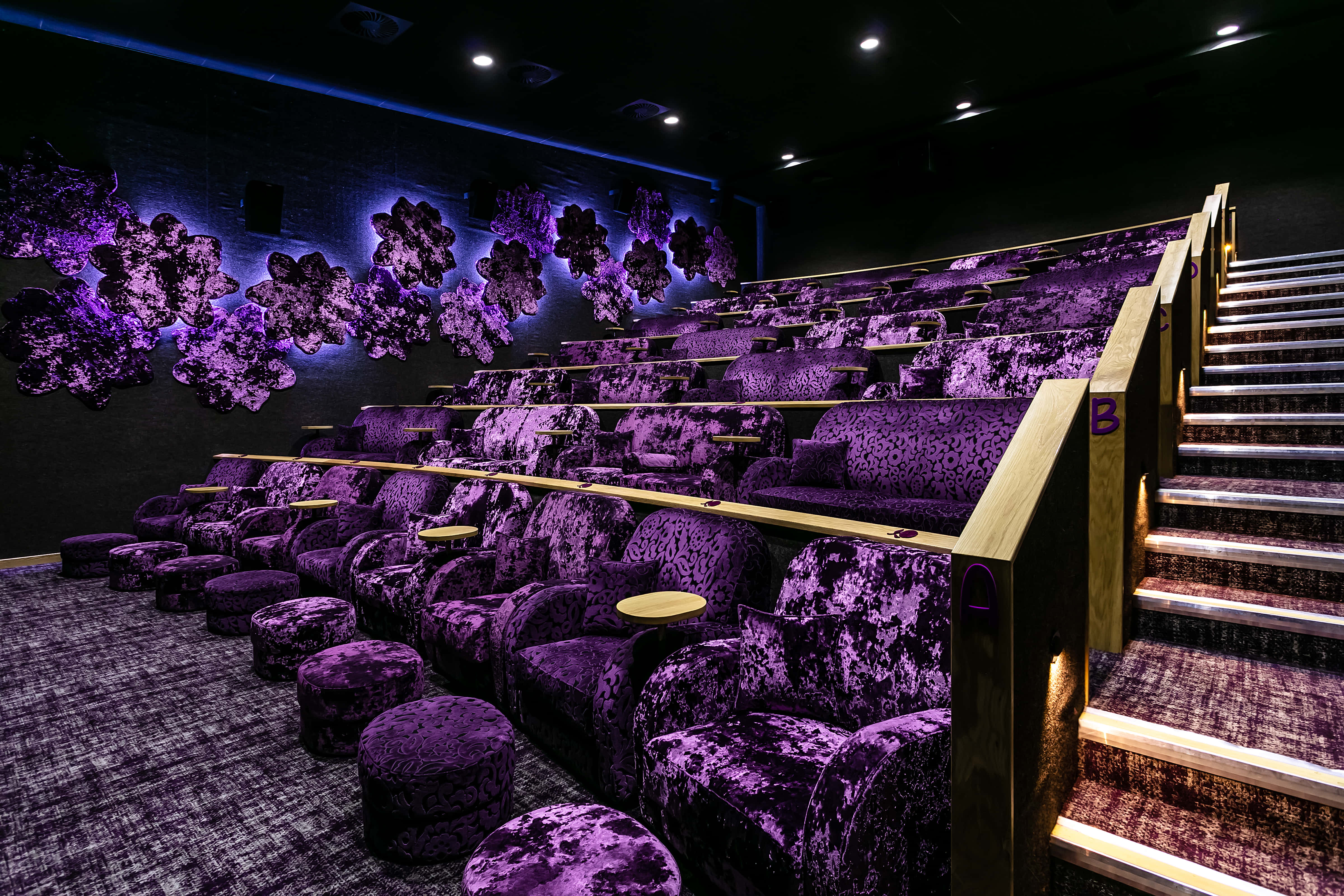 Private Cinema Hire 1