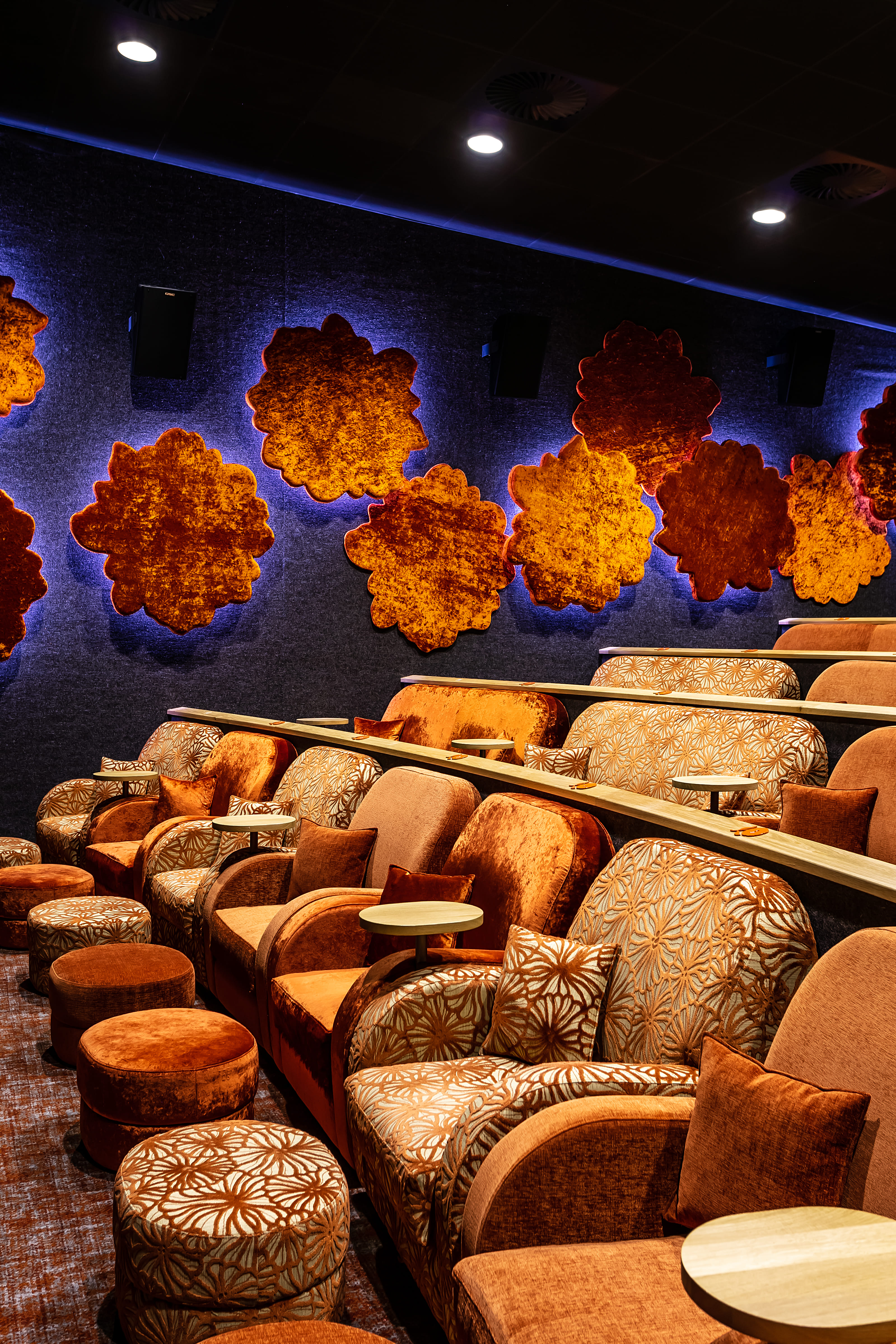 Private Cinema Hire  2