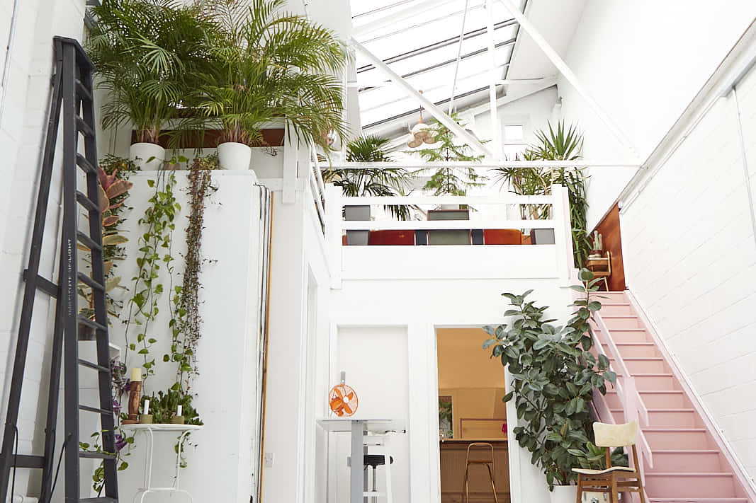 Peanut Factory Studio 8