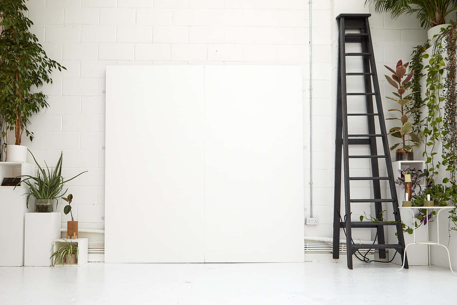 Peanut Factory Studio 7