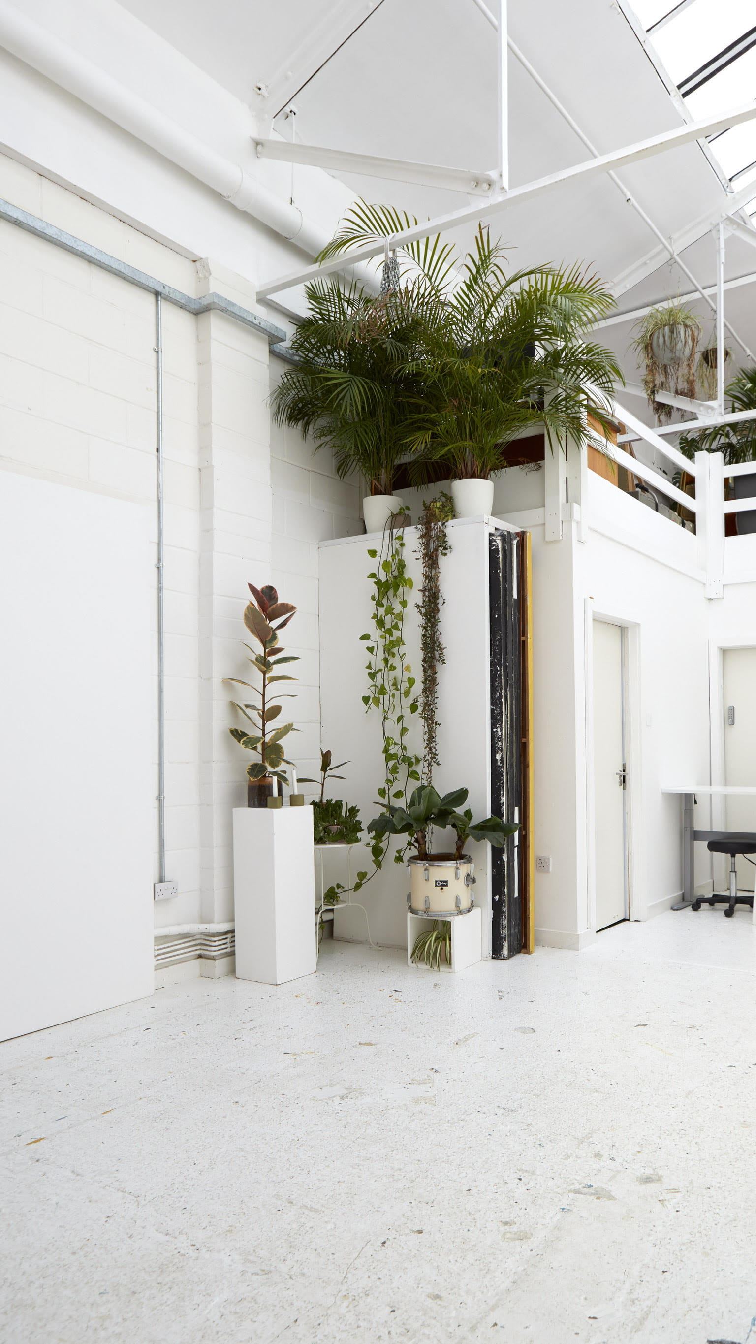 Peanut Factory Studio 3