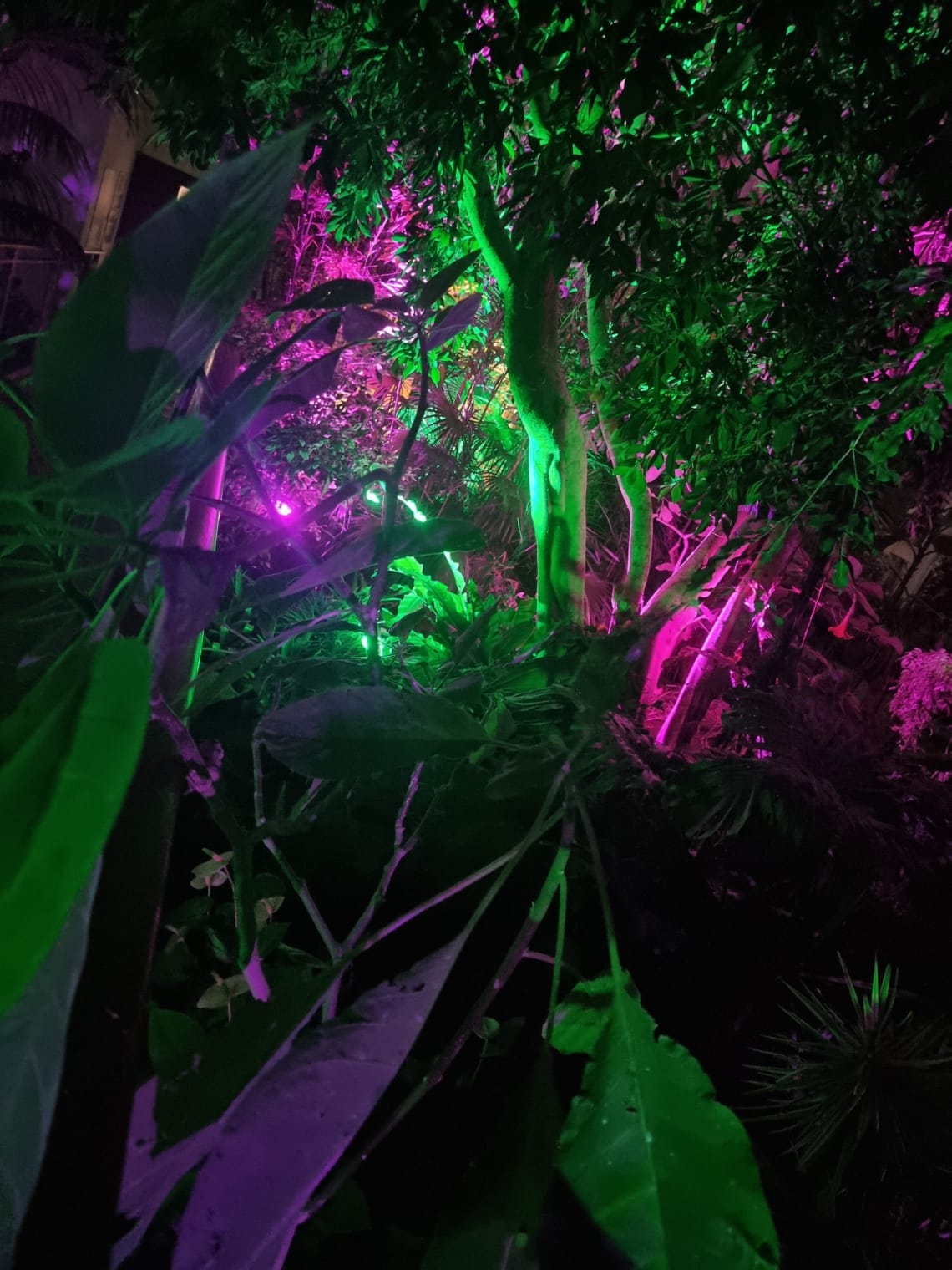 The Riverside Glasshouse 23