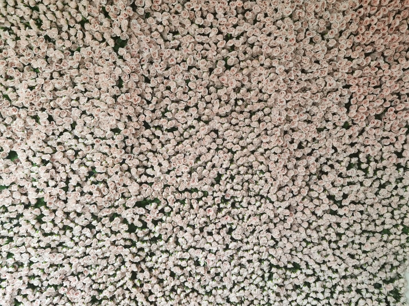 The Riverside Glasshouse 11