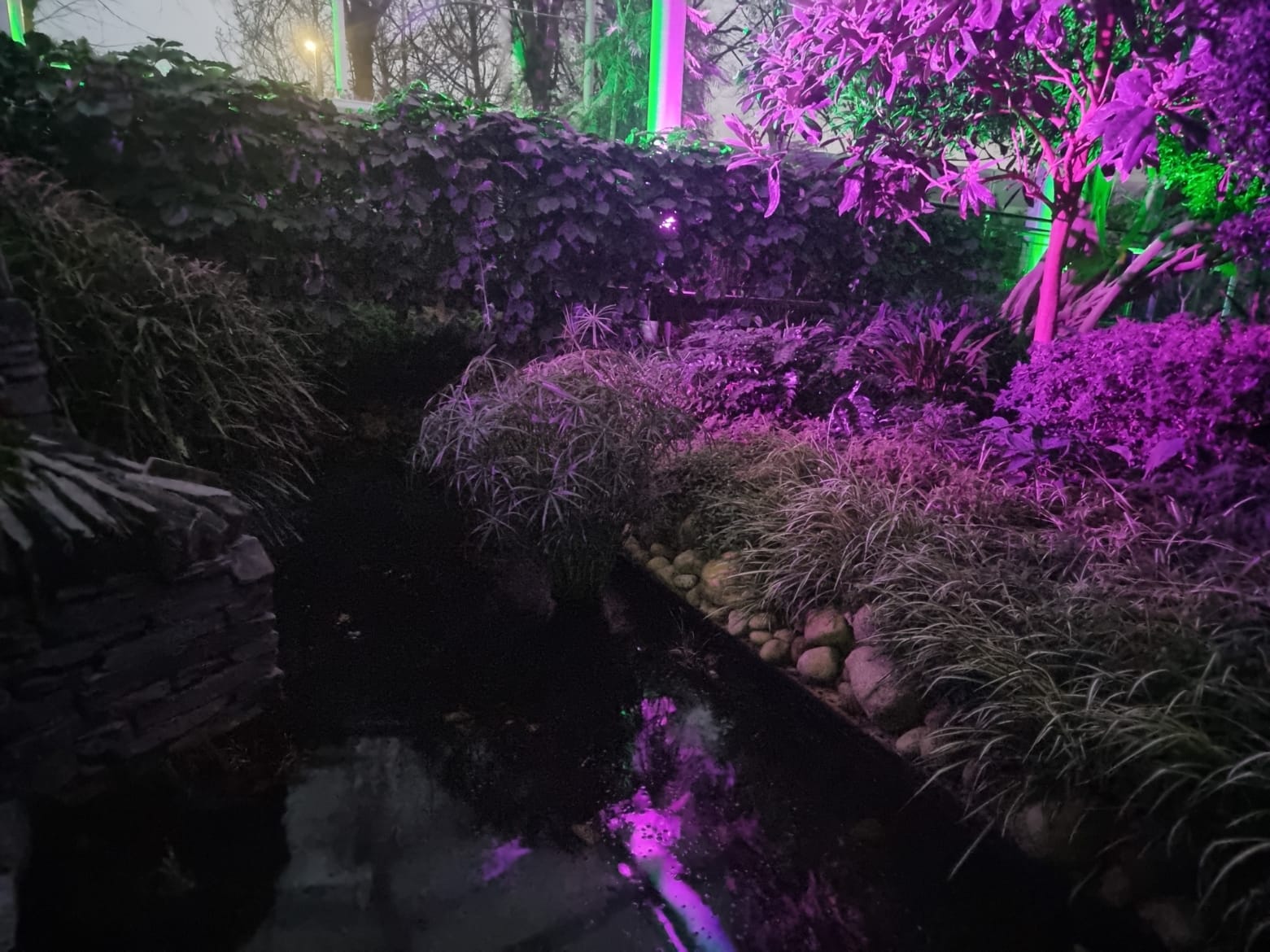 The Riverside Glasshouse 22