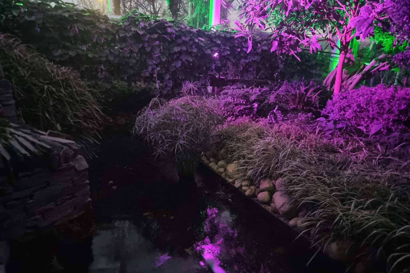 The Riverside Glasshouse 22