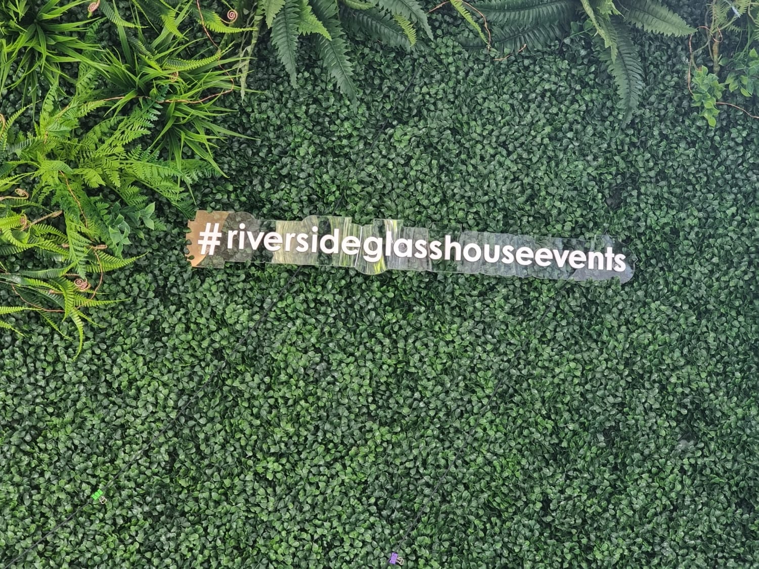 The Riverside Glasshouse 8