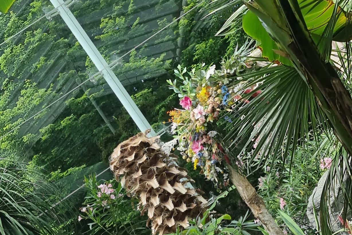 The Riverside Glasshouse 10