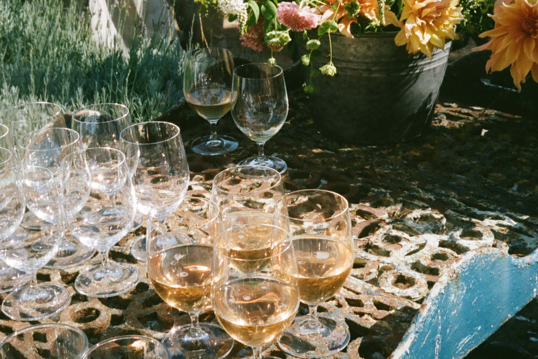 Crispin - Exclusive Use 6