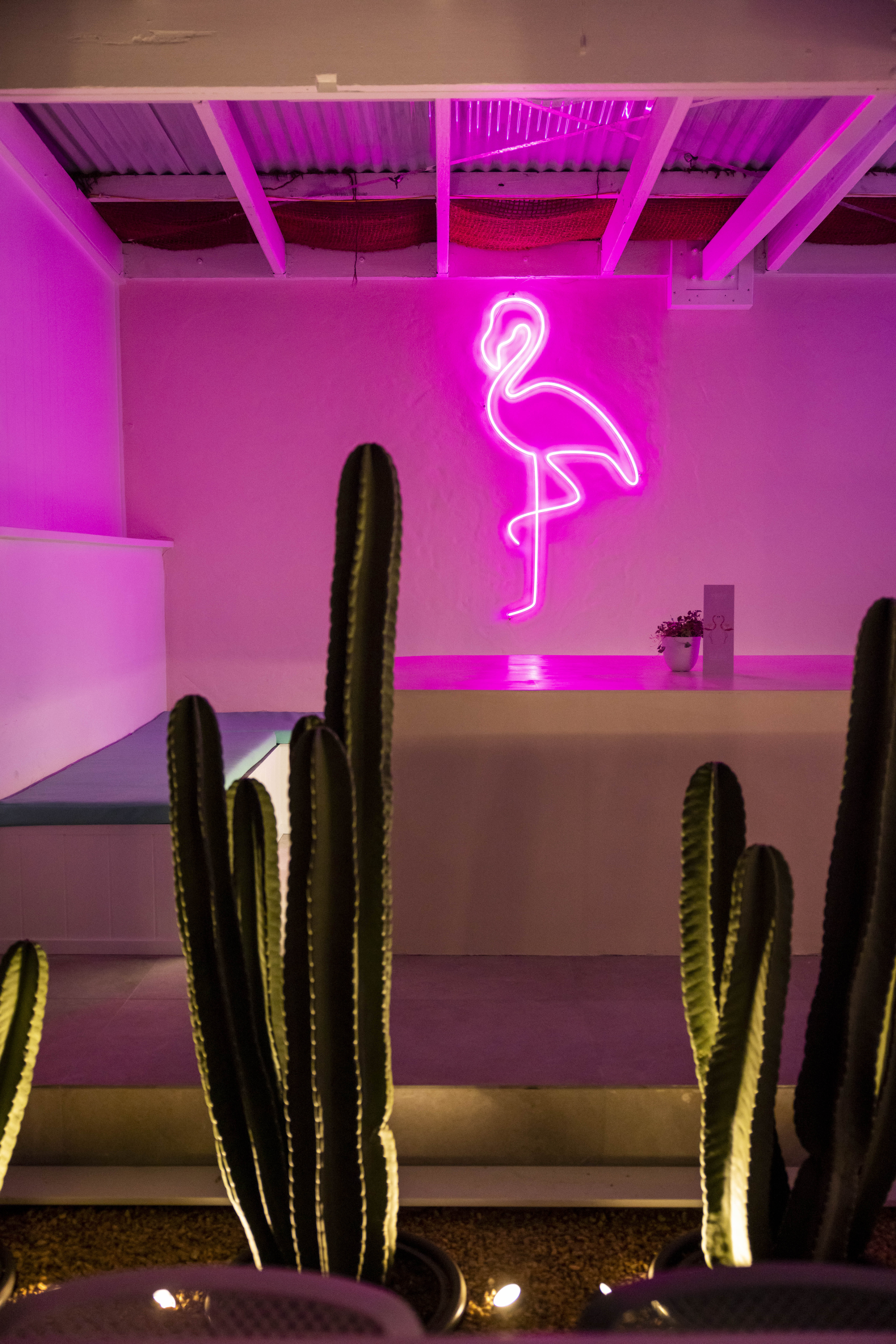 Exclusive Venue Hire  2