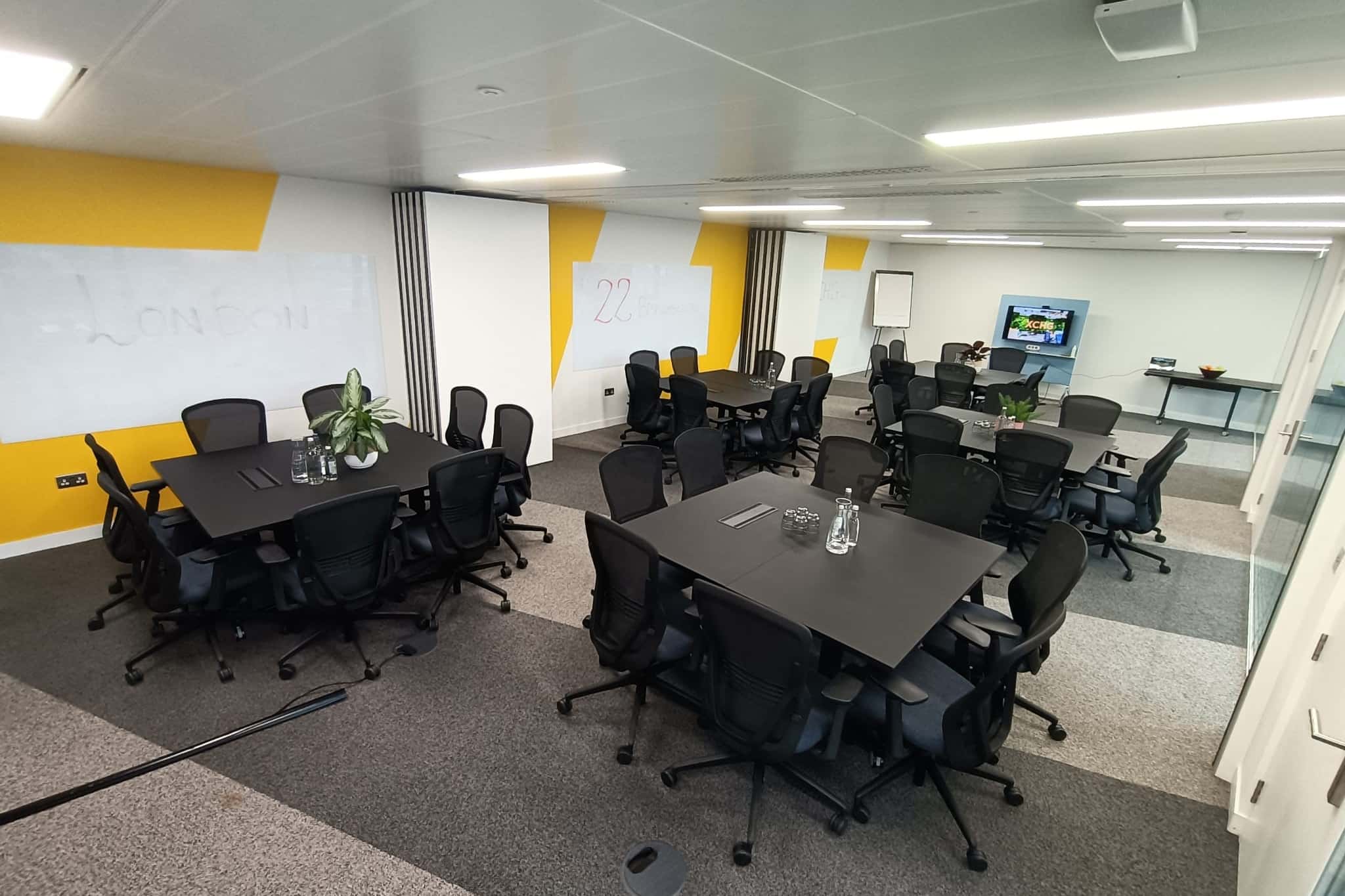 Isaac Newton Meeting Room 4