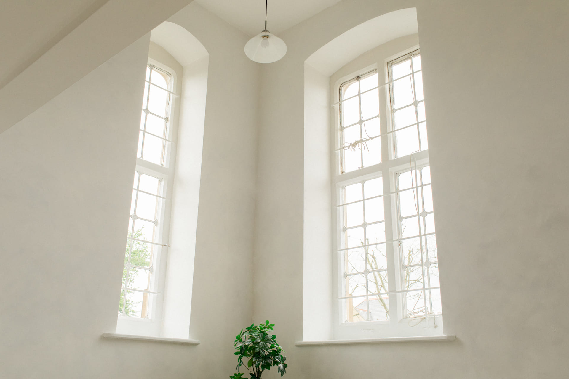 Daylight & Natural Daylight Photo Studio 1