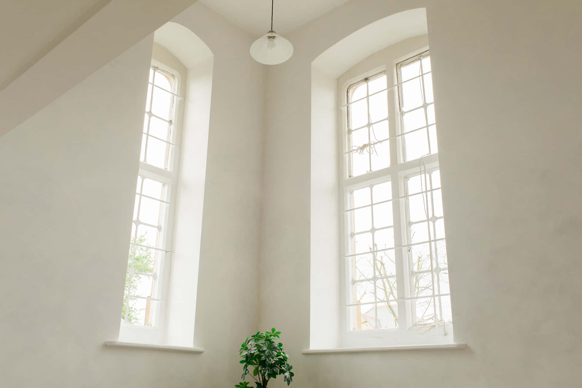 Daylight & Natural Daylight Photo Studio 1