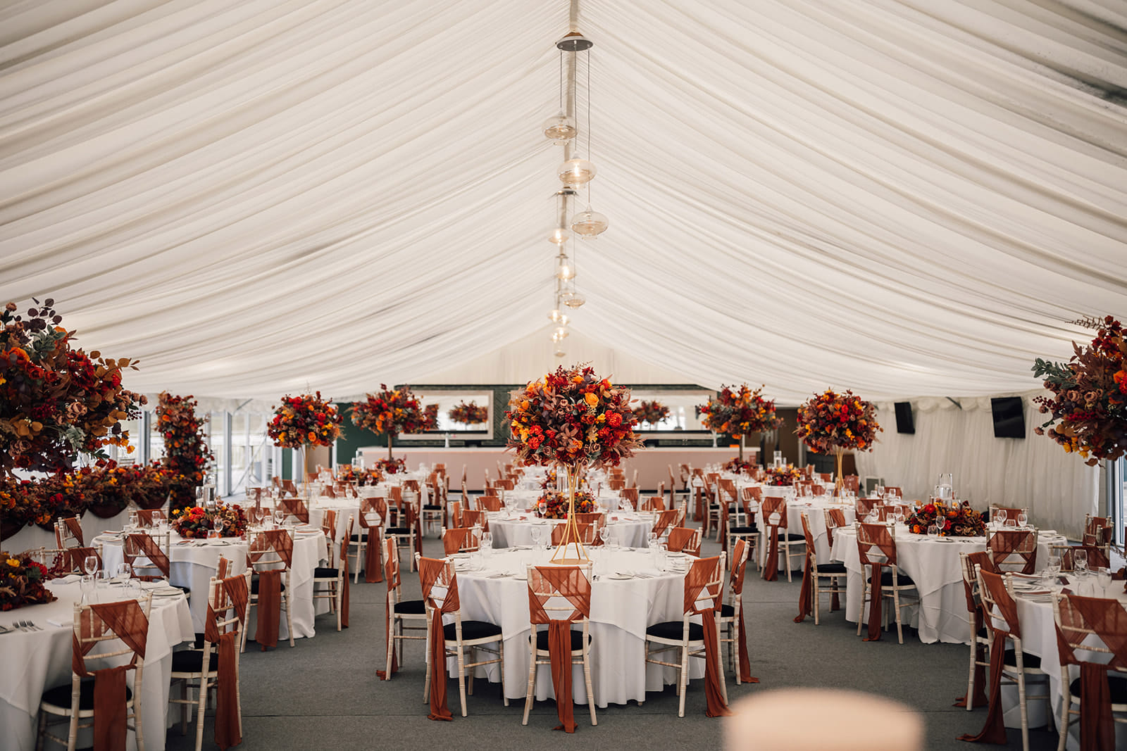 Queen Charlotte Marquee 4