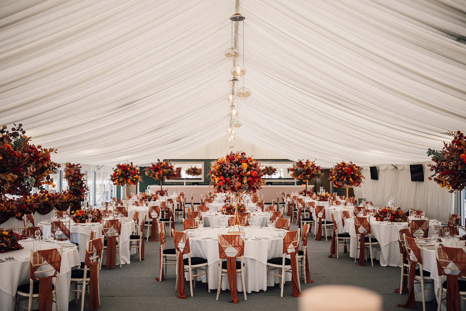 Queen Charlotte Marquee 4