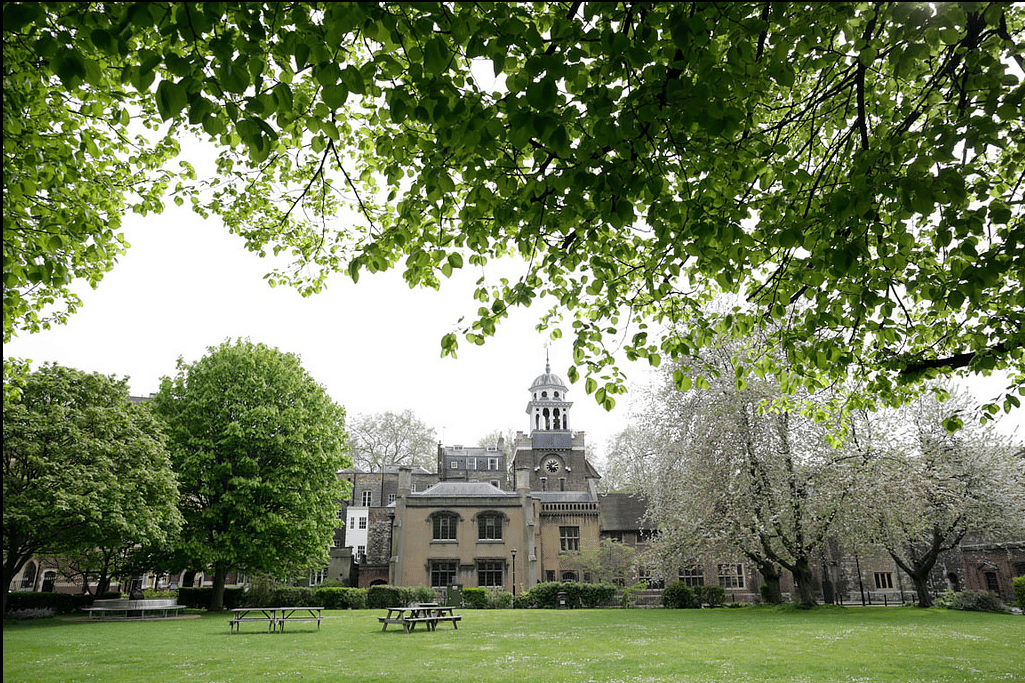 Charterhouse Square Lawn  1