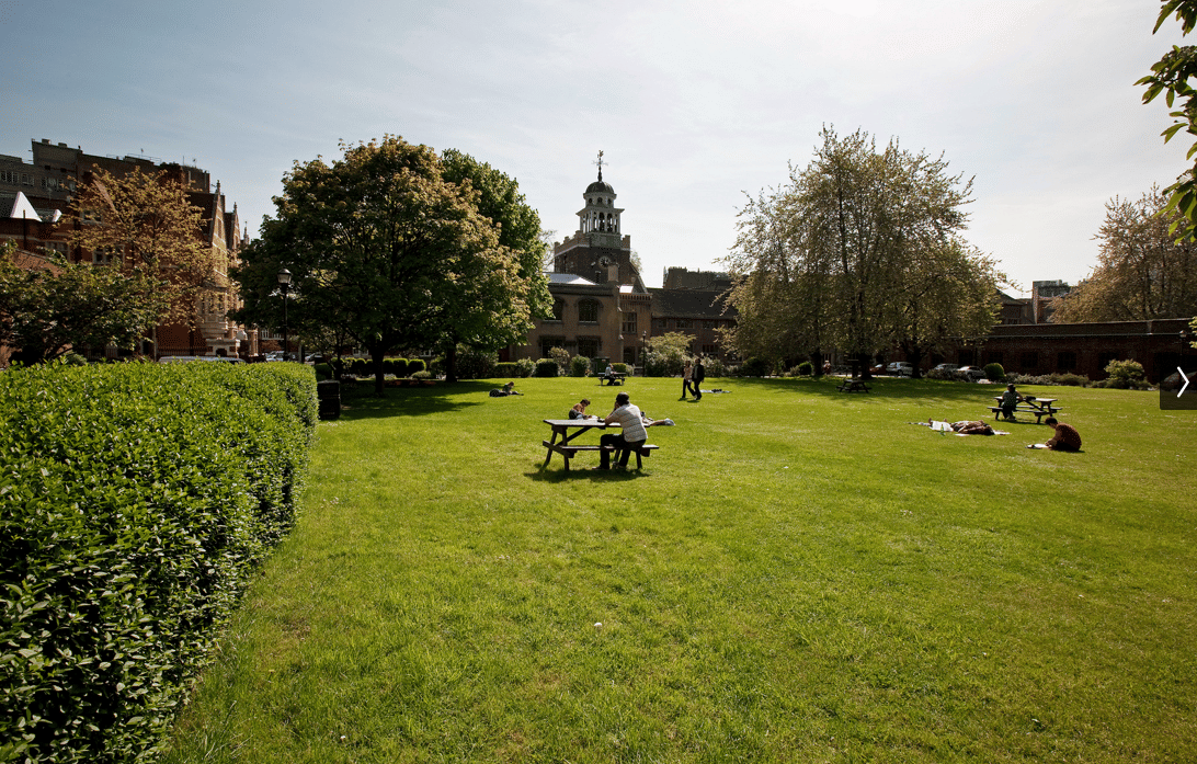 Charterhouse Square Lawn 