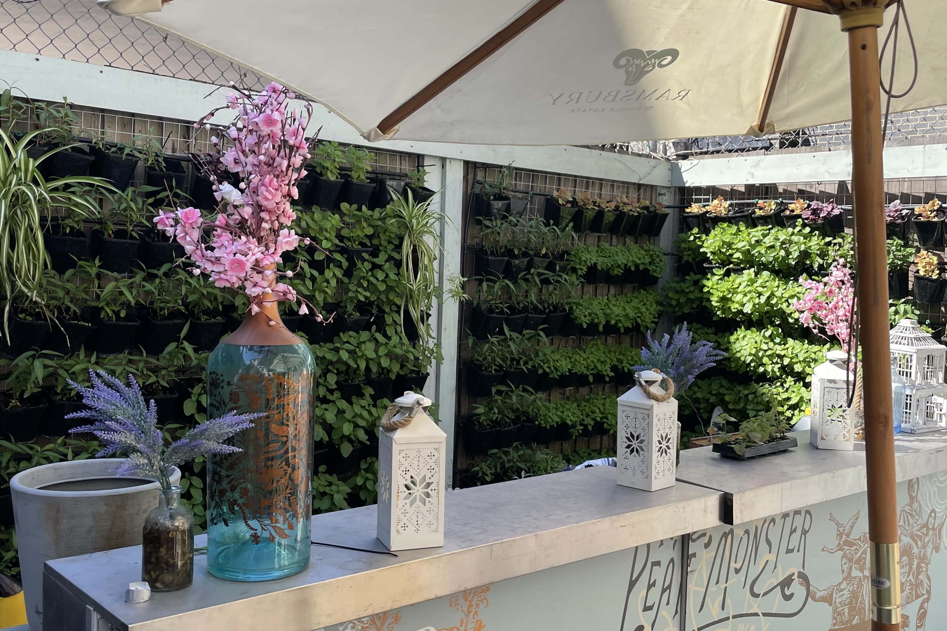 Bull in a China shop whole venue hire 4