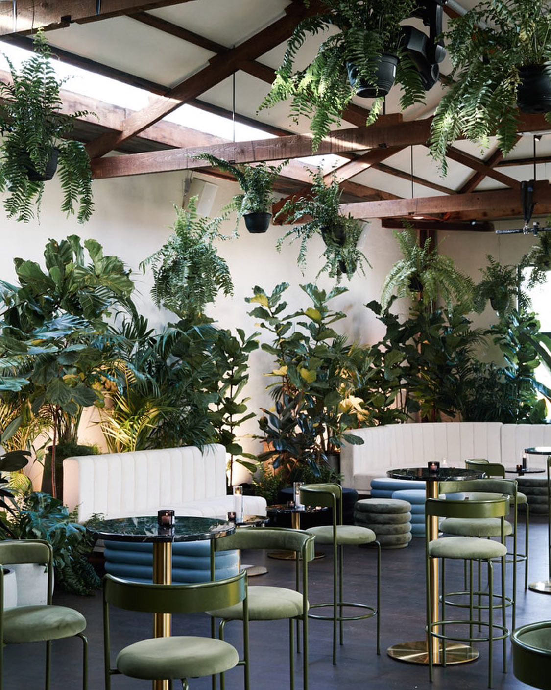 Glasshaus Brücke 10