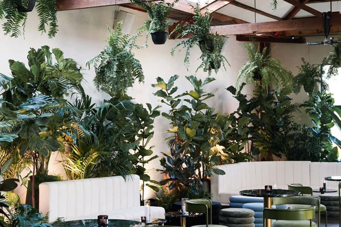 Glasshaus Brücke 10