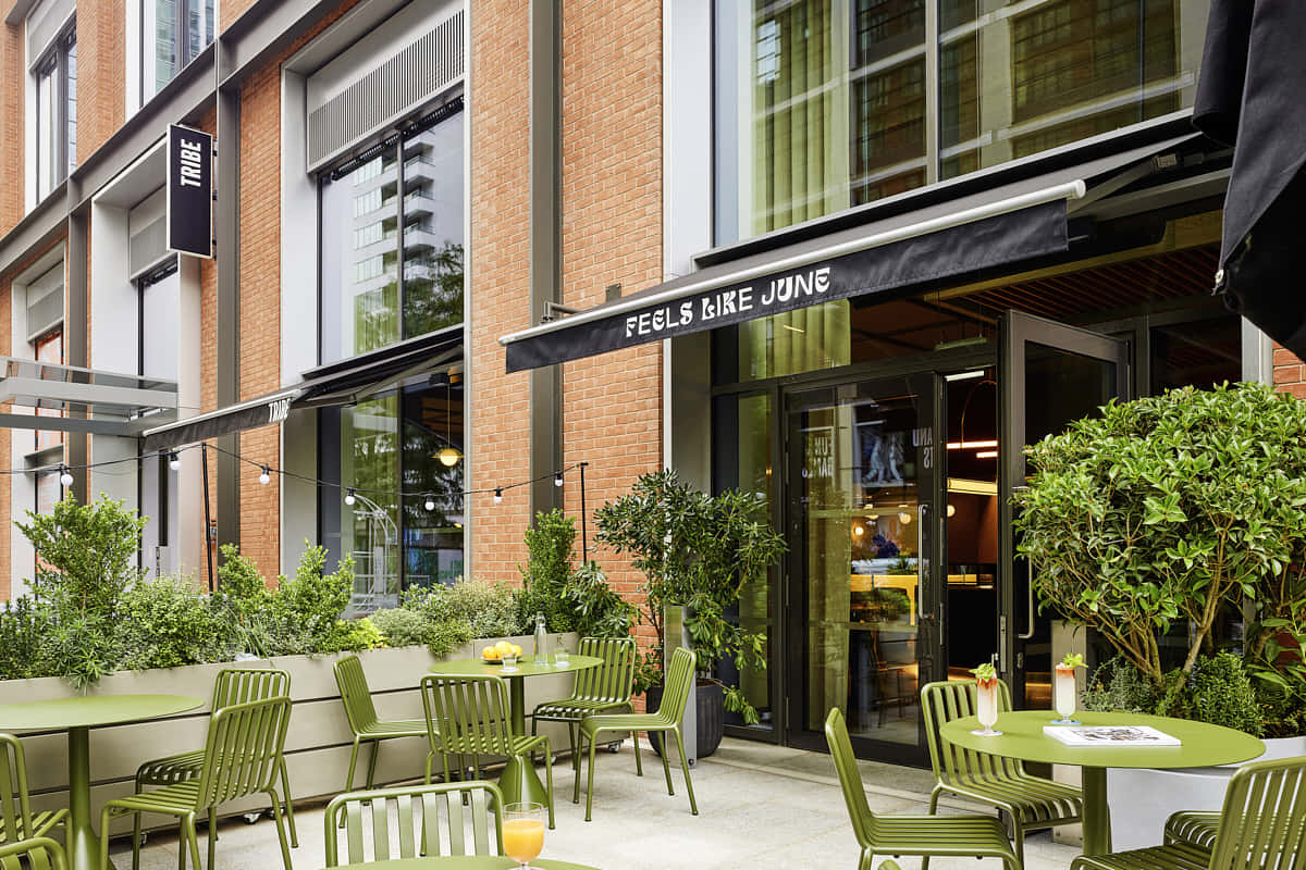 Feels Like June, Bar, Restaurant & Terrace 5