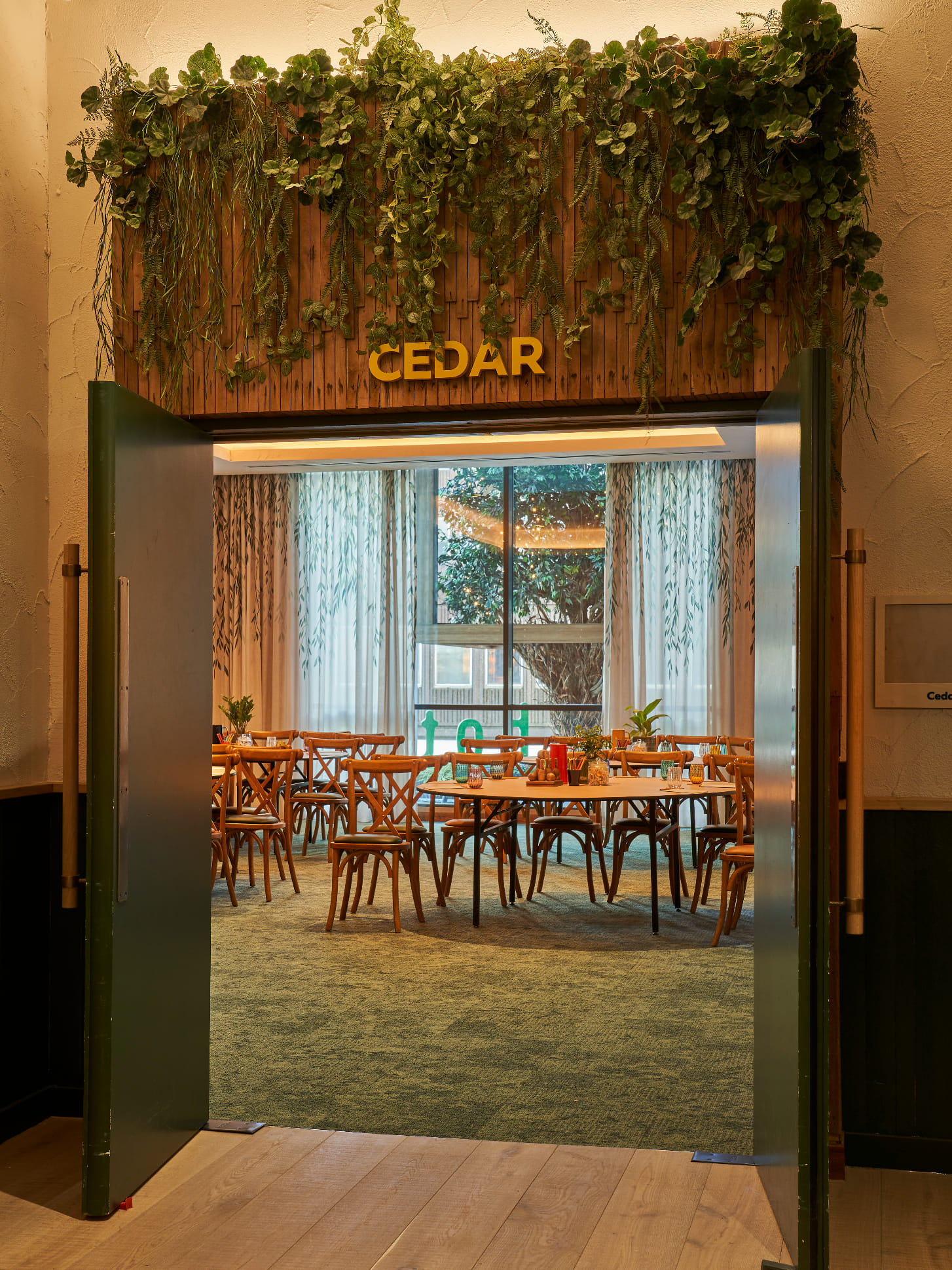 Cedar 1