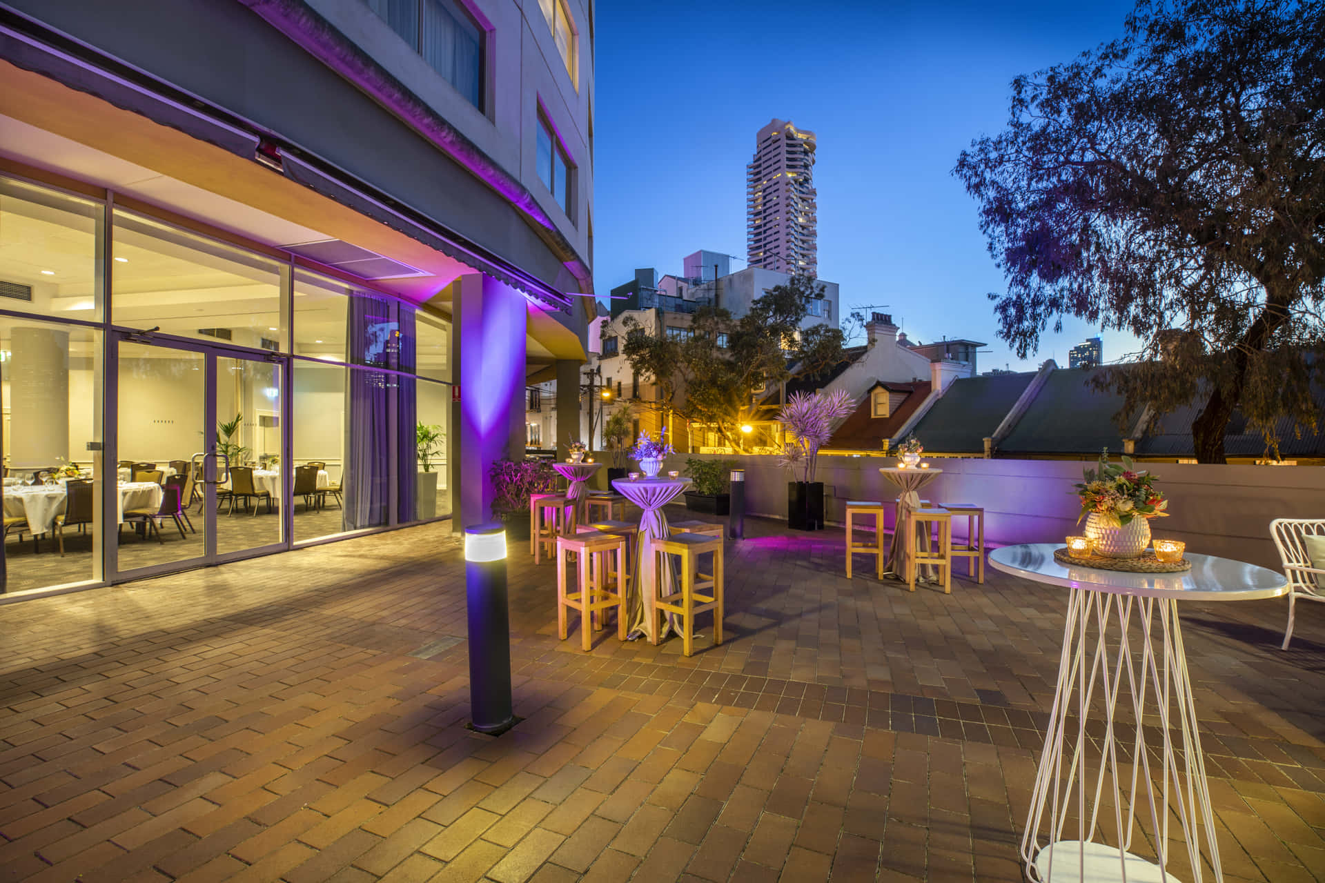 Bluegum & Jacaranda Terrace 8