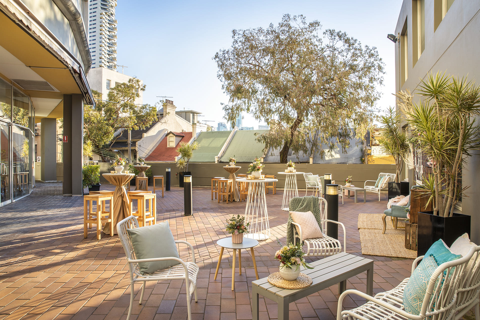 Bluegum & Jacaranda Terrace 3