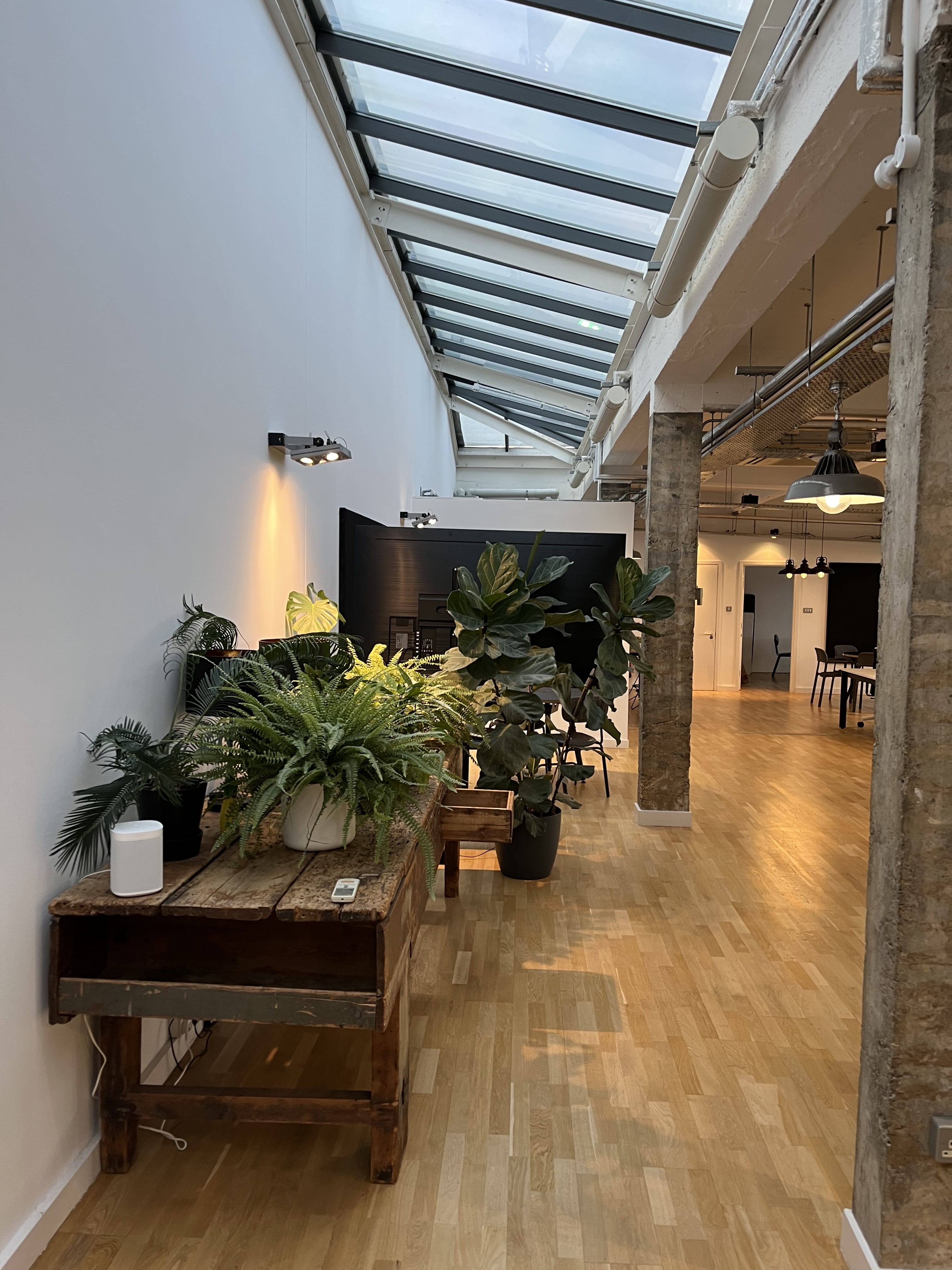 Industrial Office Space With Lots of Natural Light 3