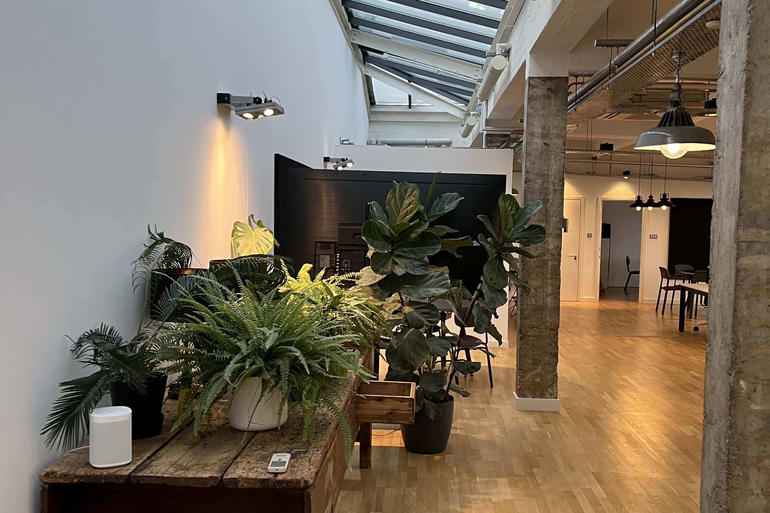 Industrial Office Space With Lots of Natural Light 3