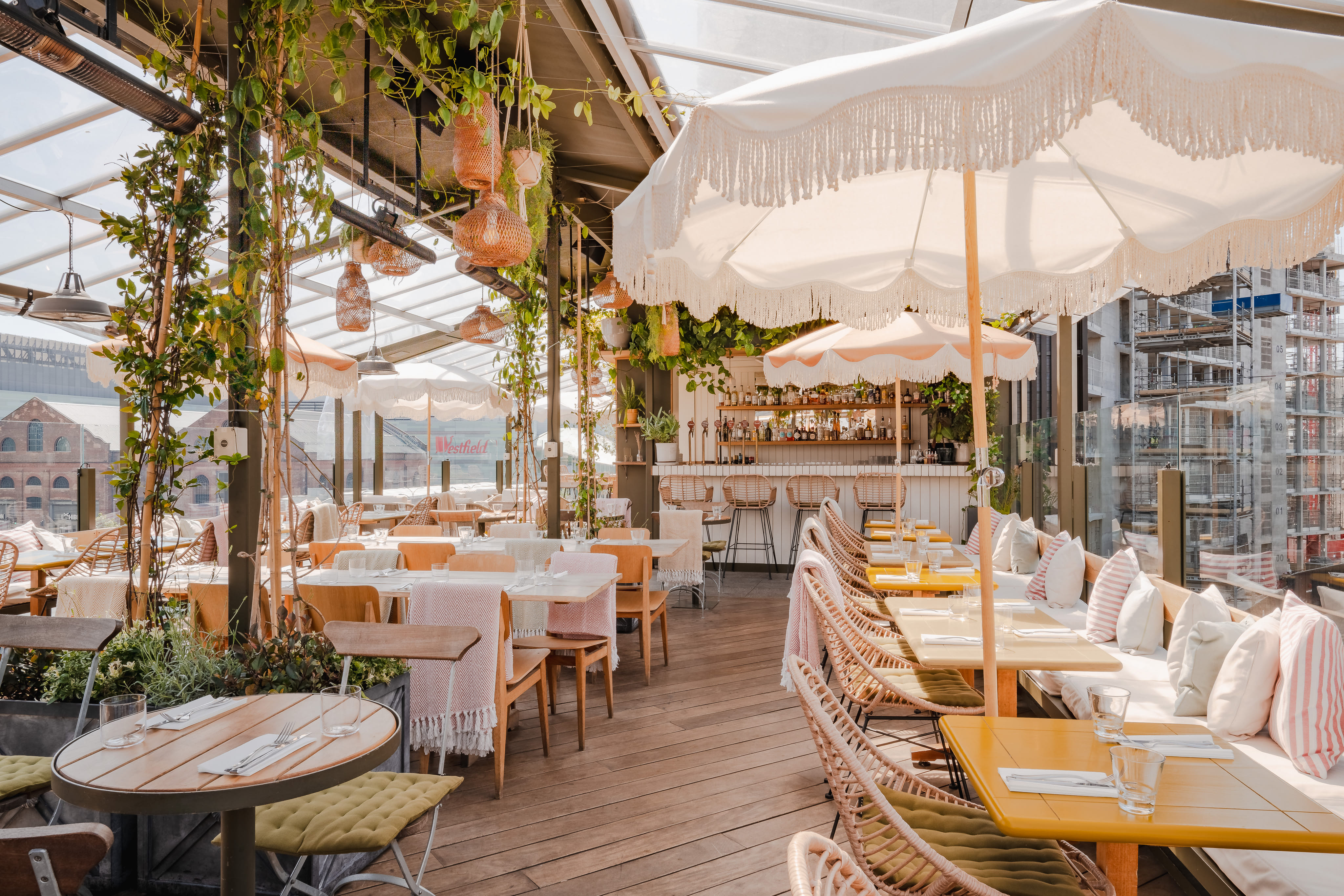 The Rooftop Terrace  4