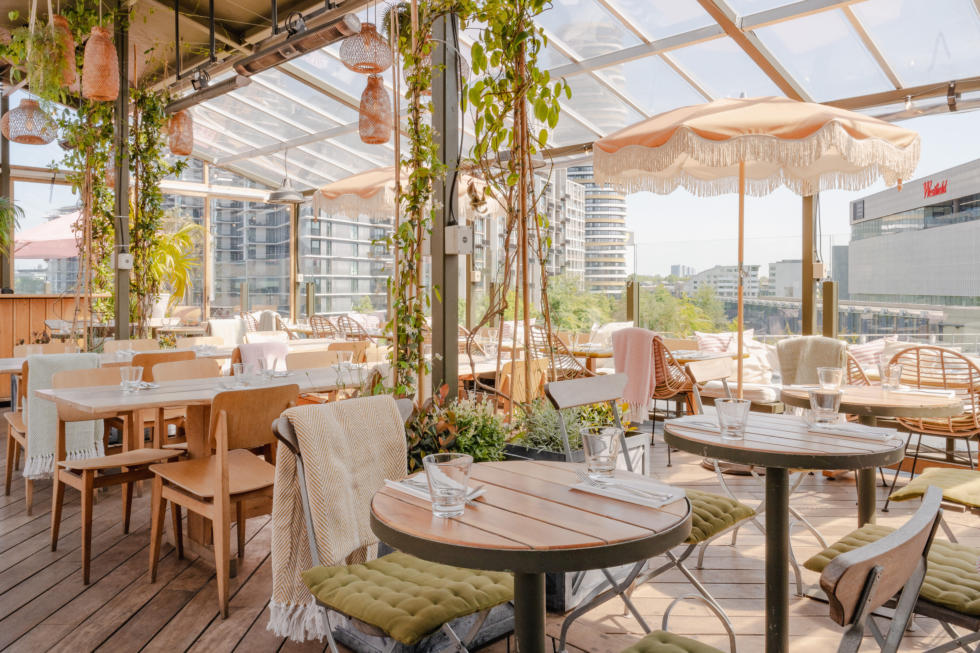 The Rooftop Terrace  5