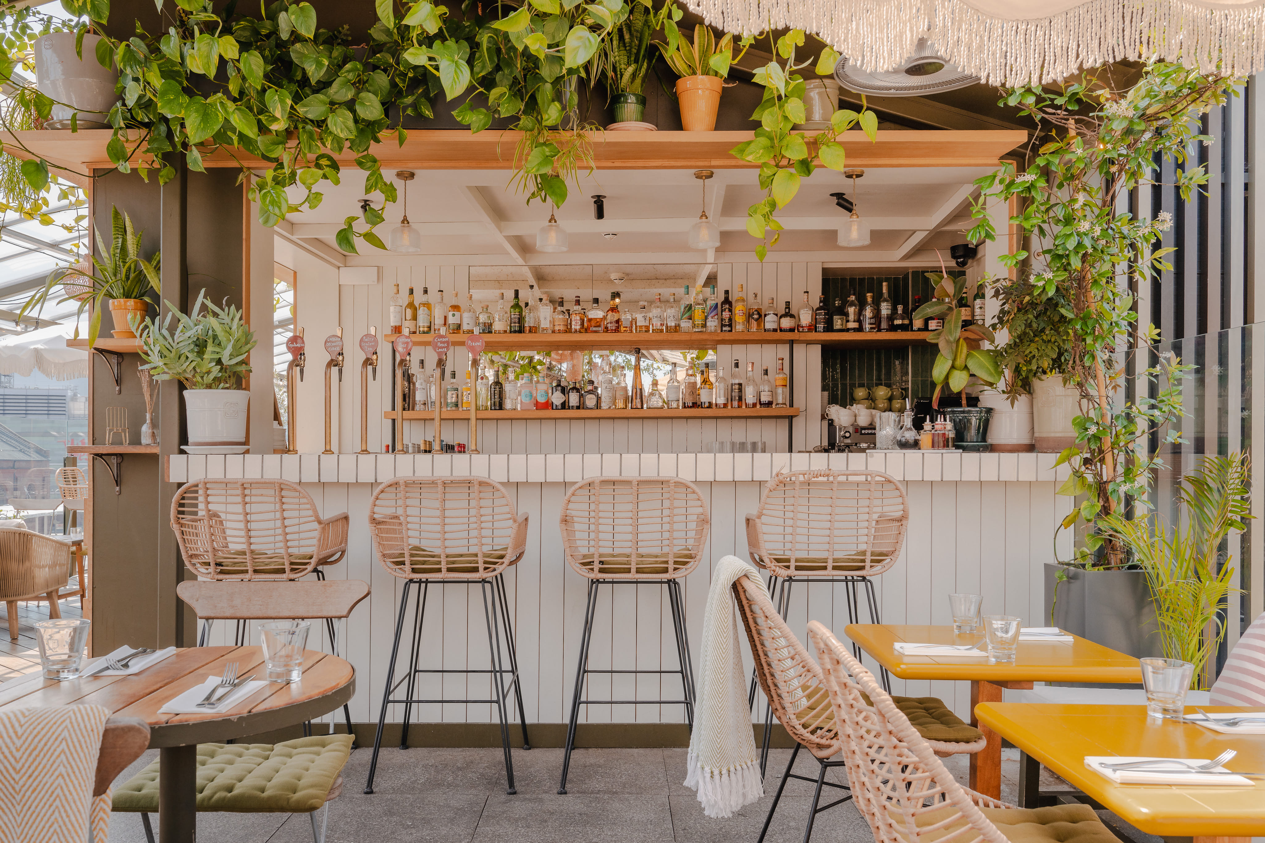 The Rooftop Terrace  3