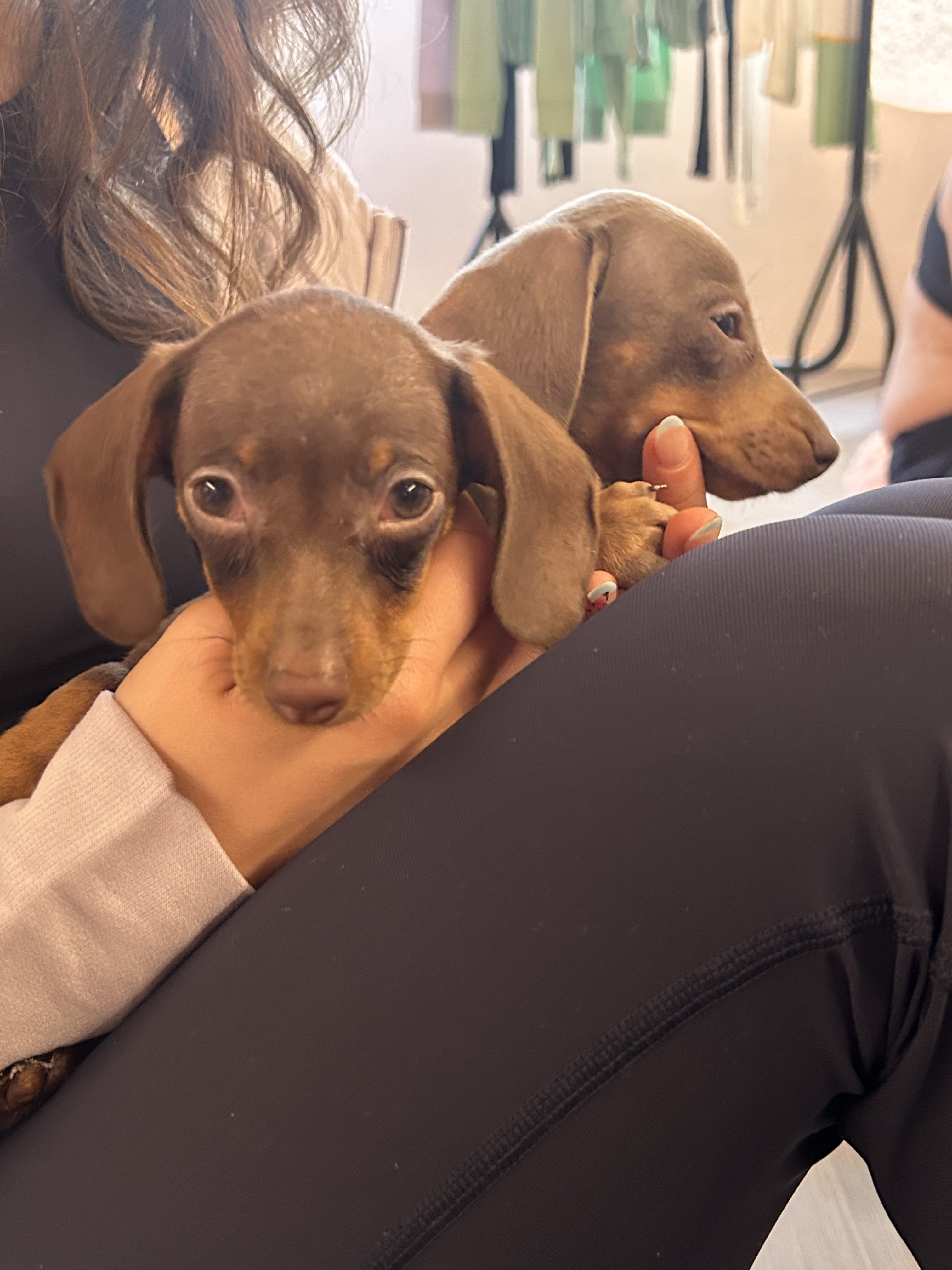 Vita - Corporate Events 7