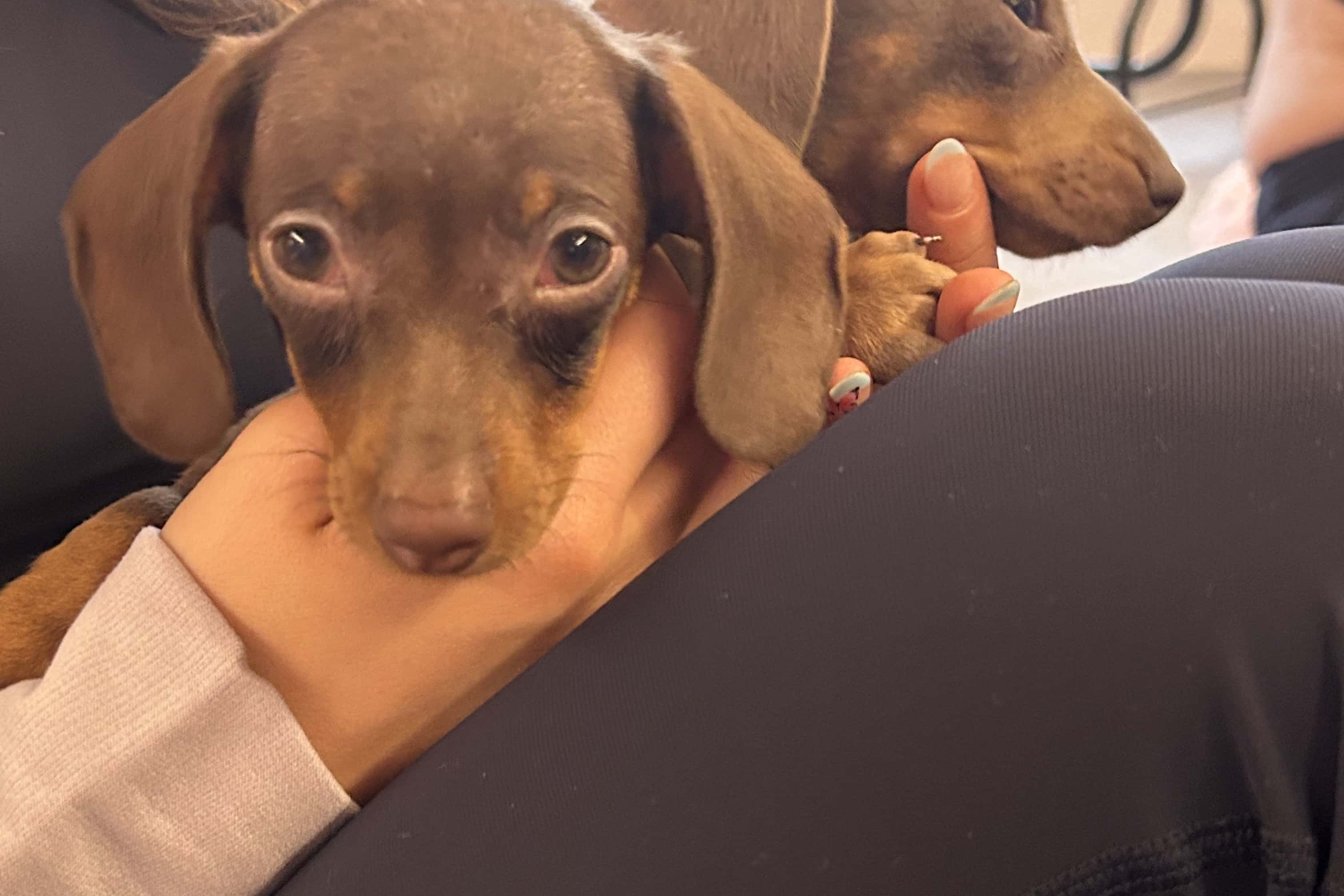 Vita - Corporate Events 7