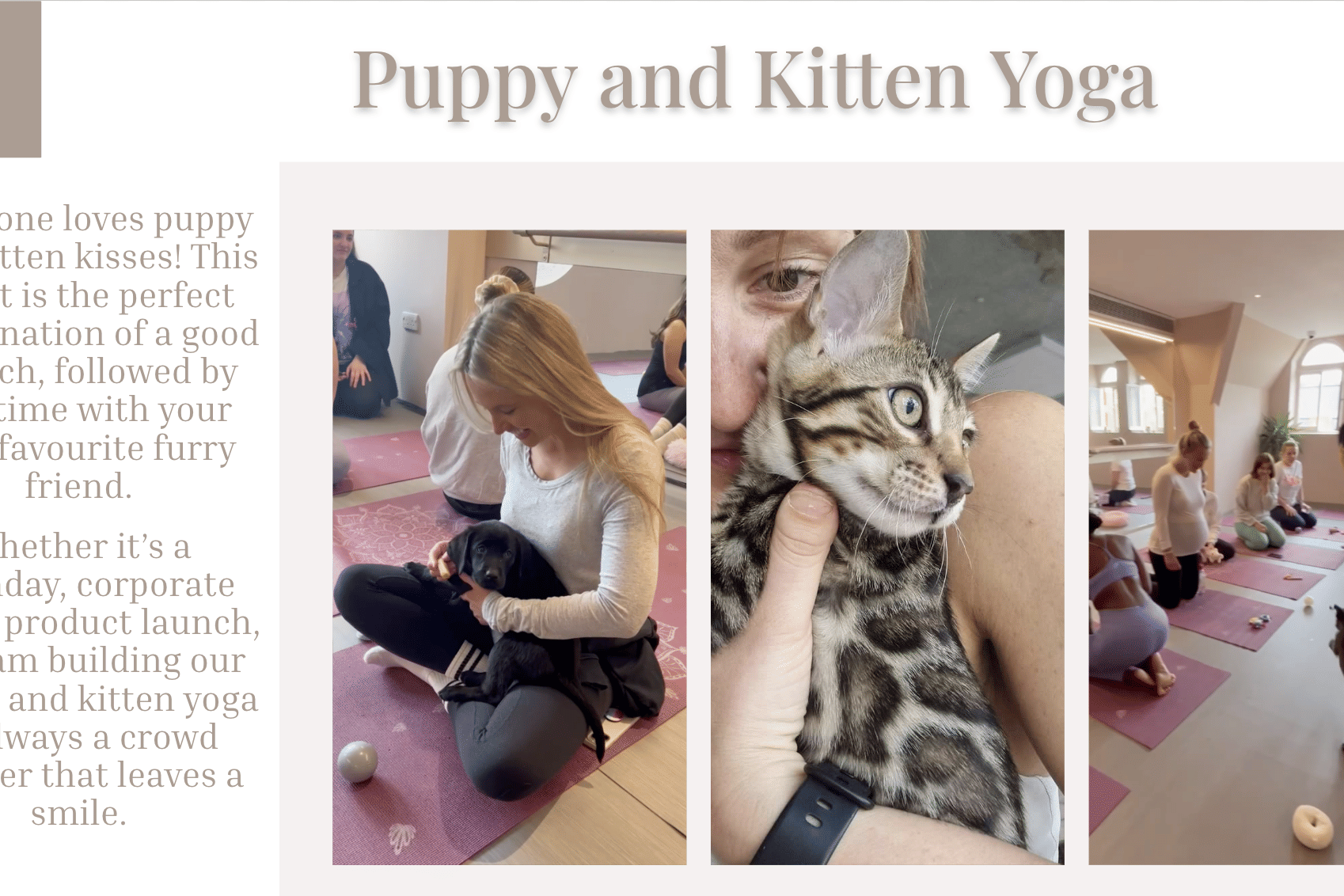 Vita - Corporate Events 4