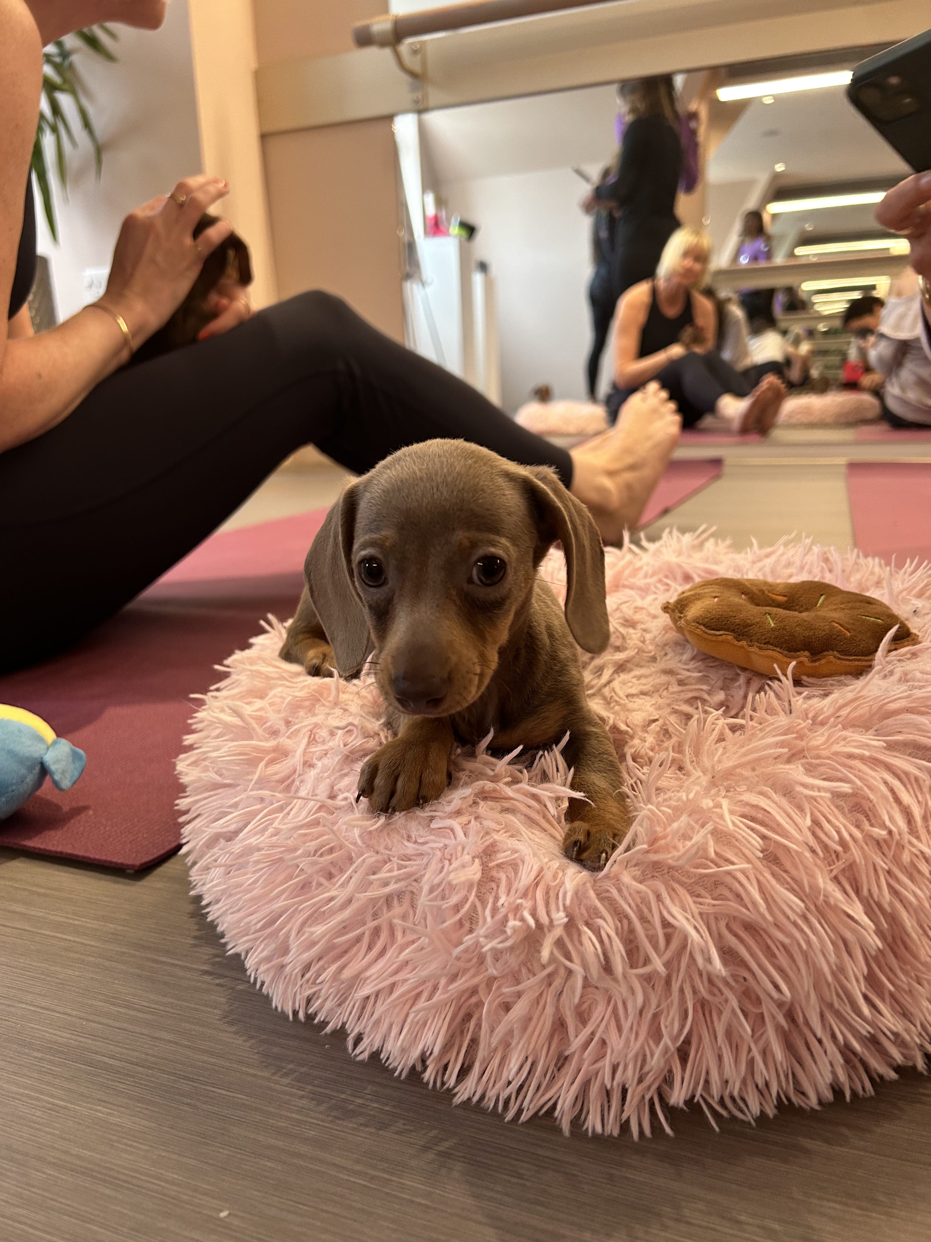 Vita - Corporate Events 5