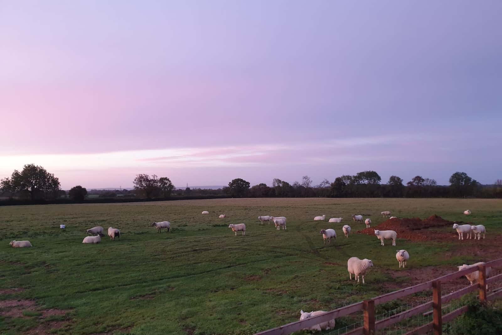 TV Studio / Photographic Studio (1000 Sq.ft) 12