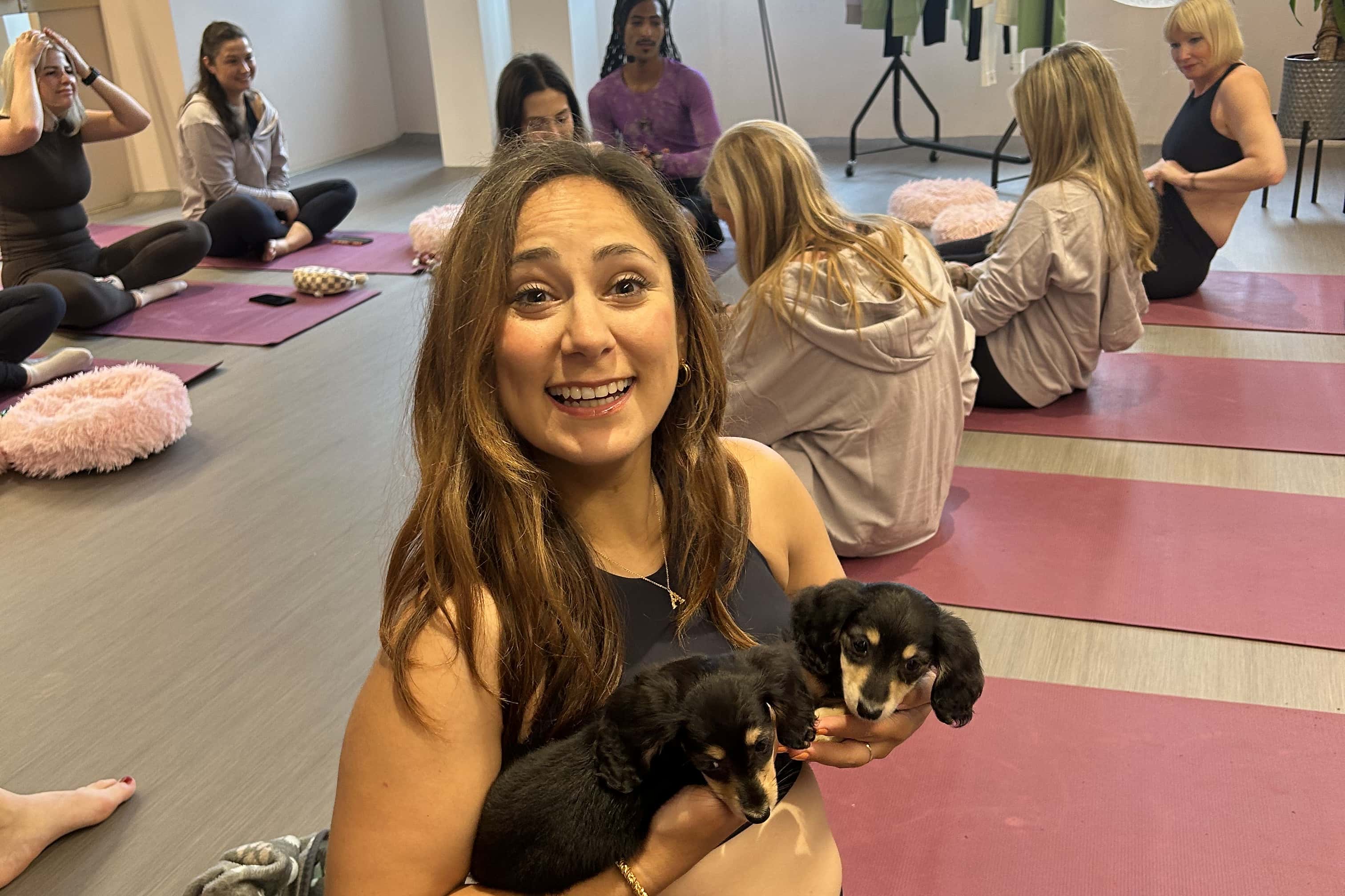 Vita - Team Activity 3