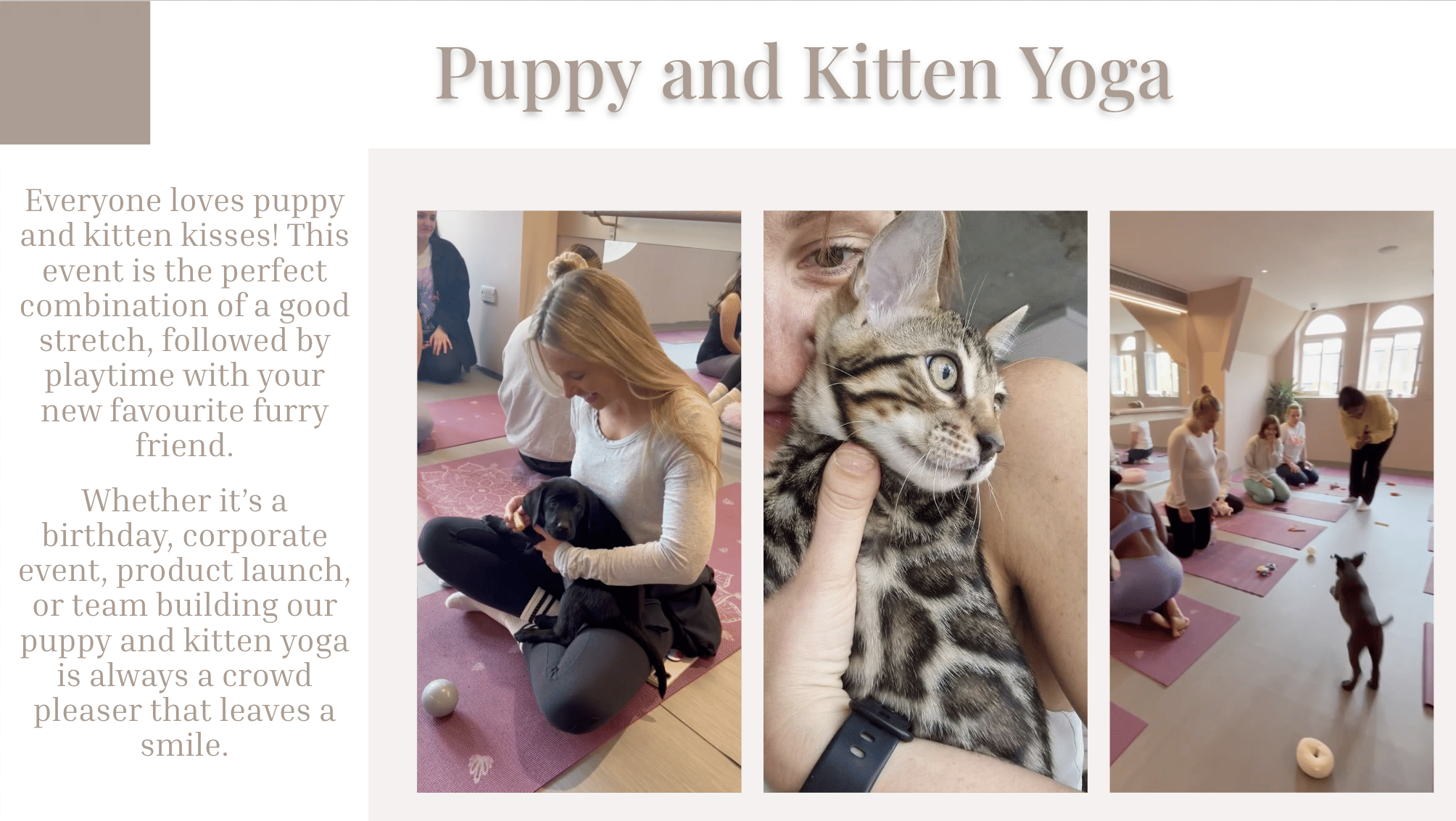 Vita - Team Activity 2