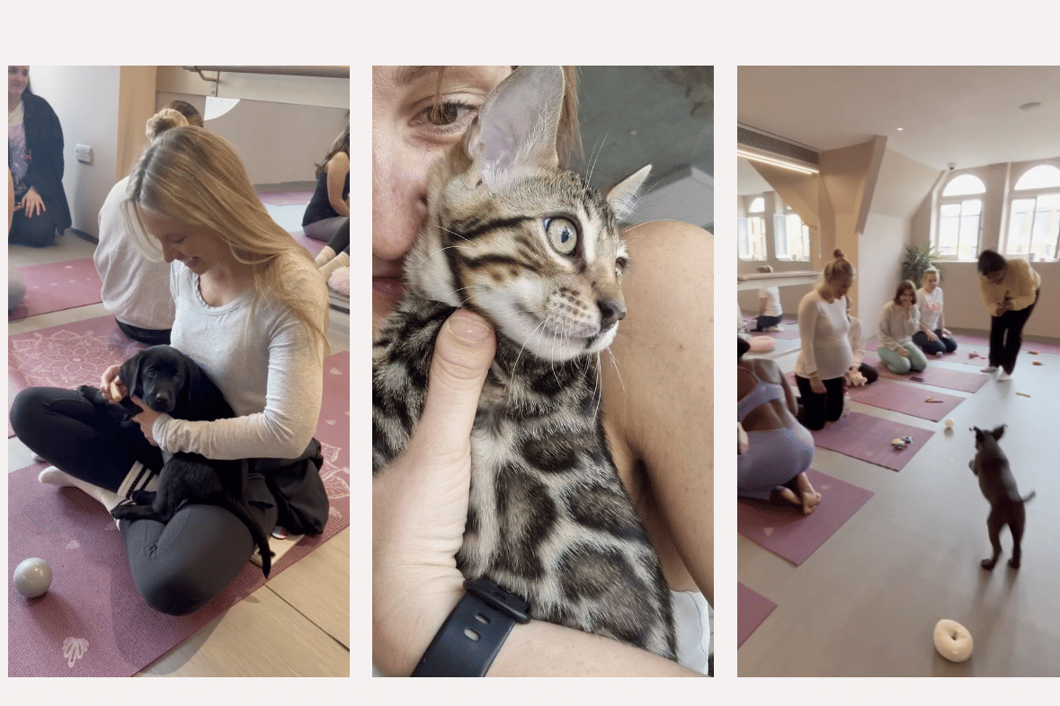 Vita - Team Activity 0